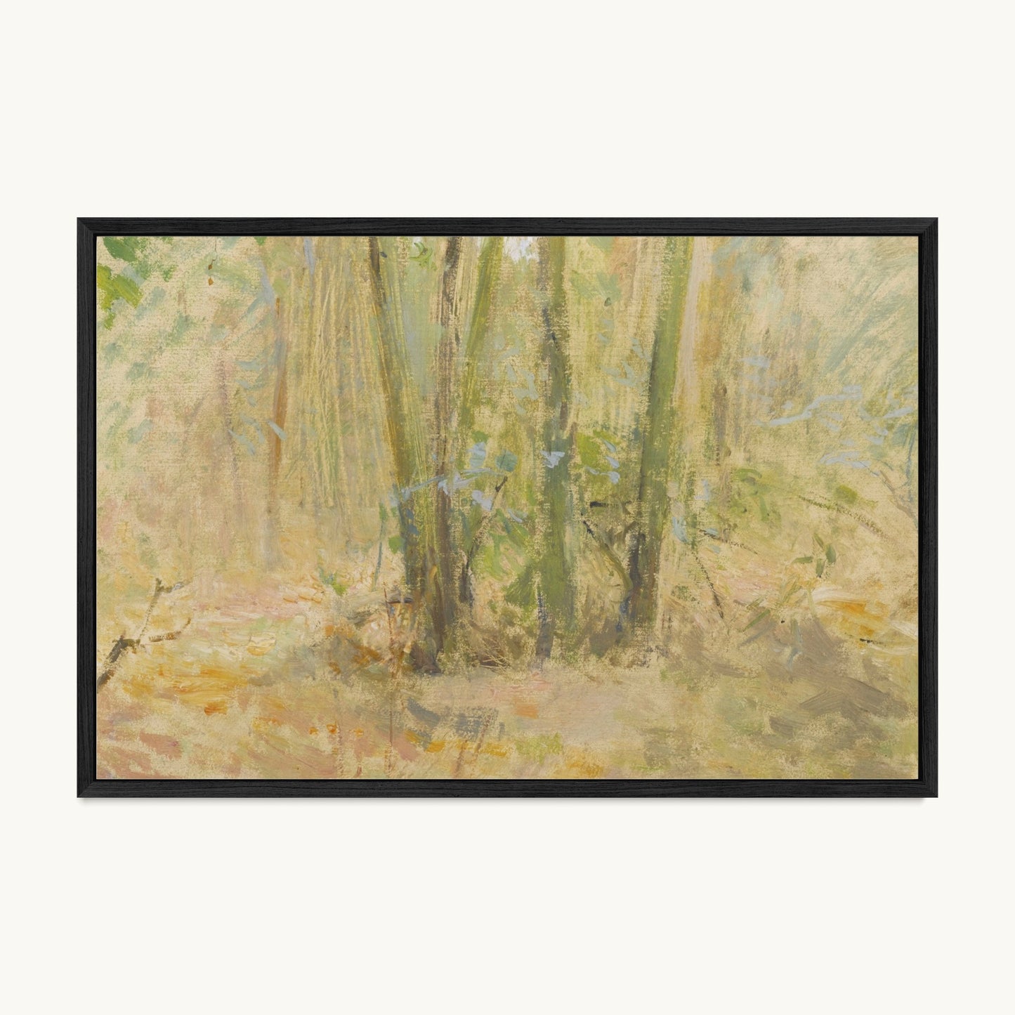 Arbres dans la forêt