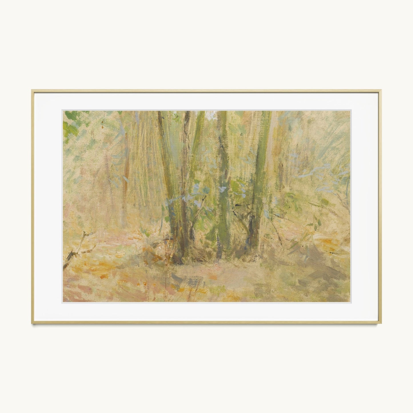 Arbres dans la forêt