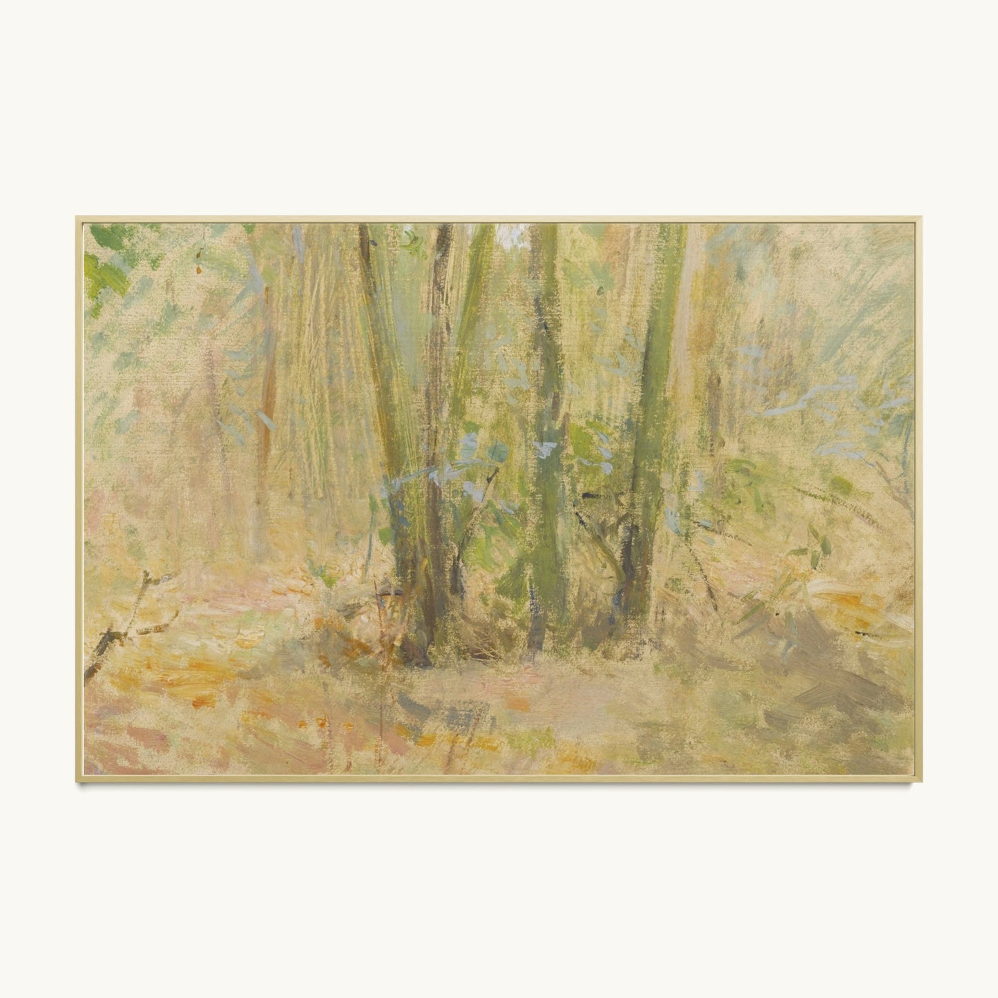 Arbres dans la forêt