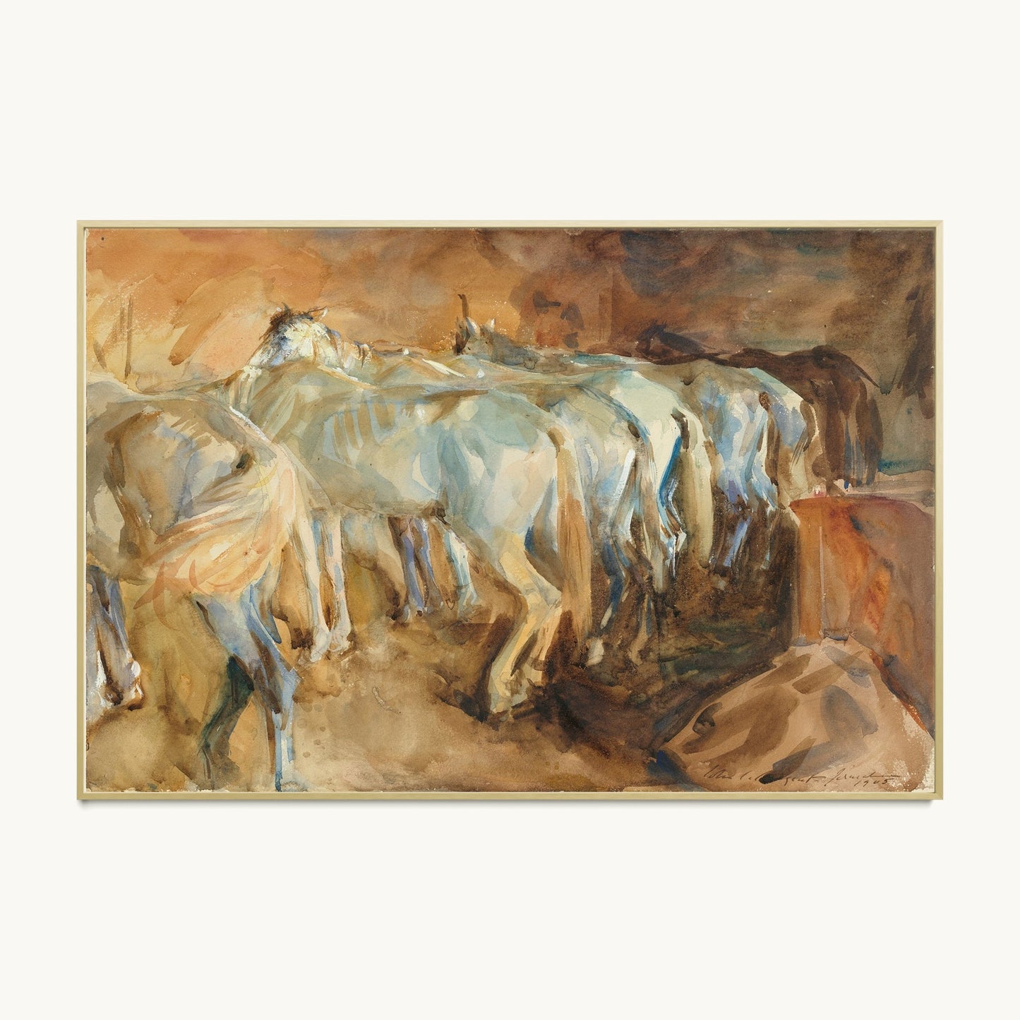 Bus Horses in Jerusalem