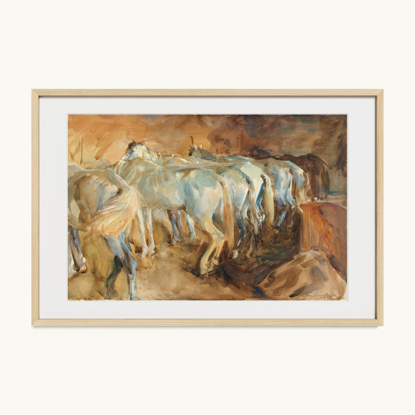 Bus Horses in Jerusalem