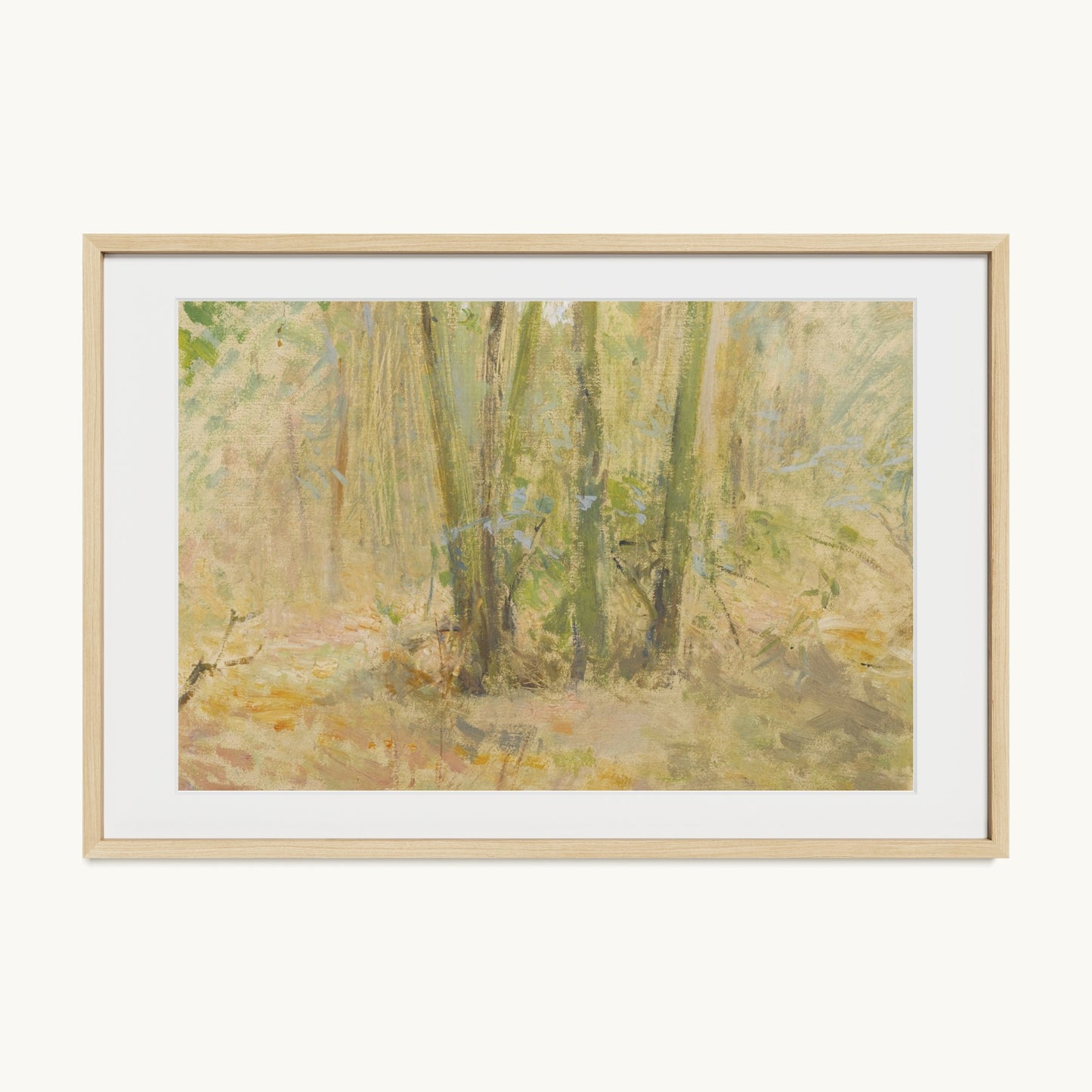Arbres dans la forêt
