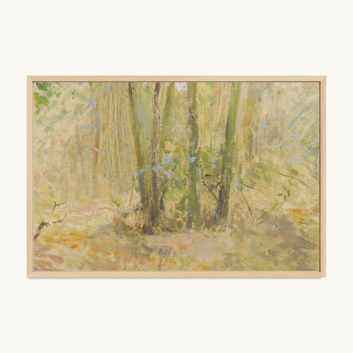 Arbres dans la forêt