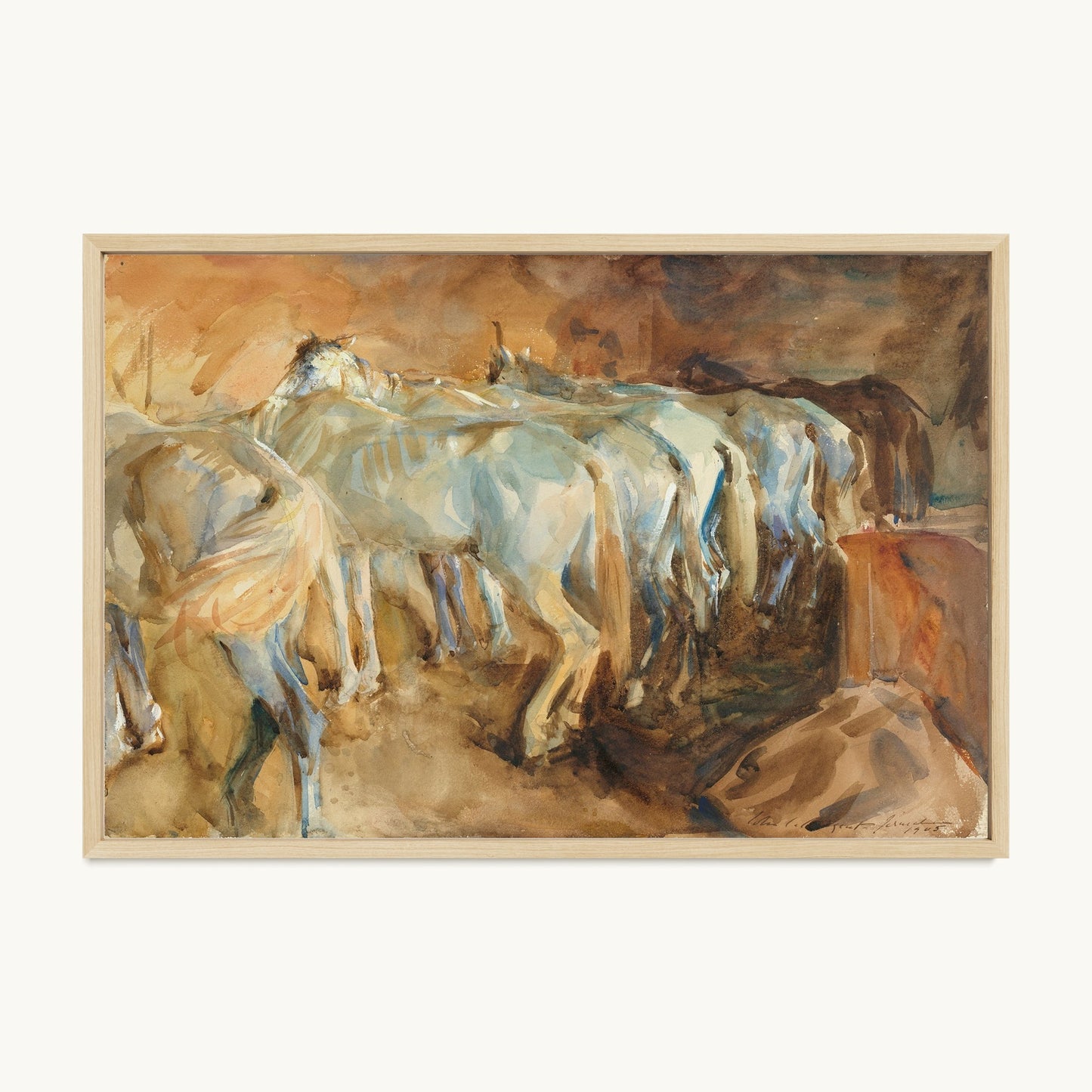 Bus Horses in Jerusalem