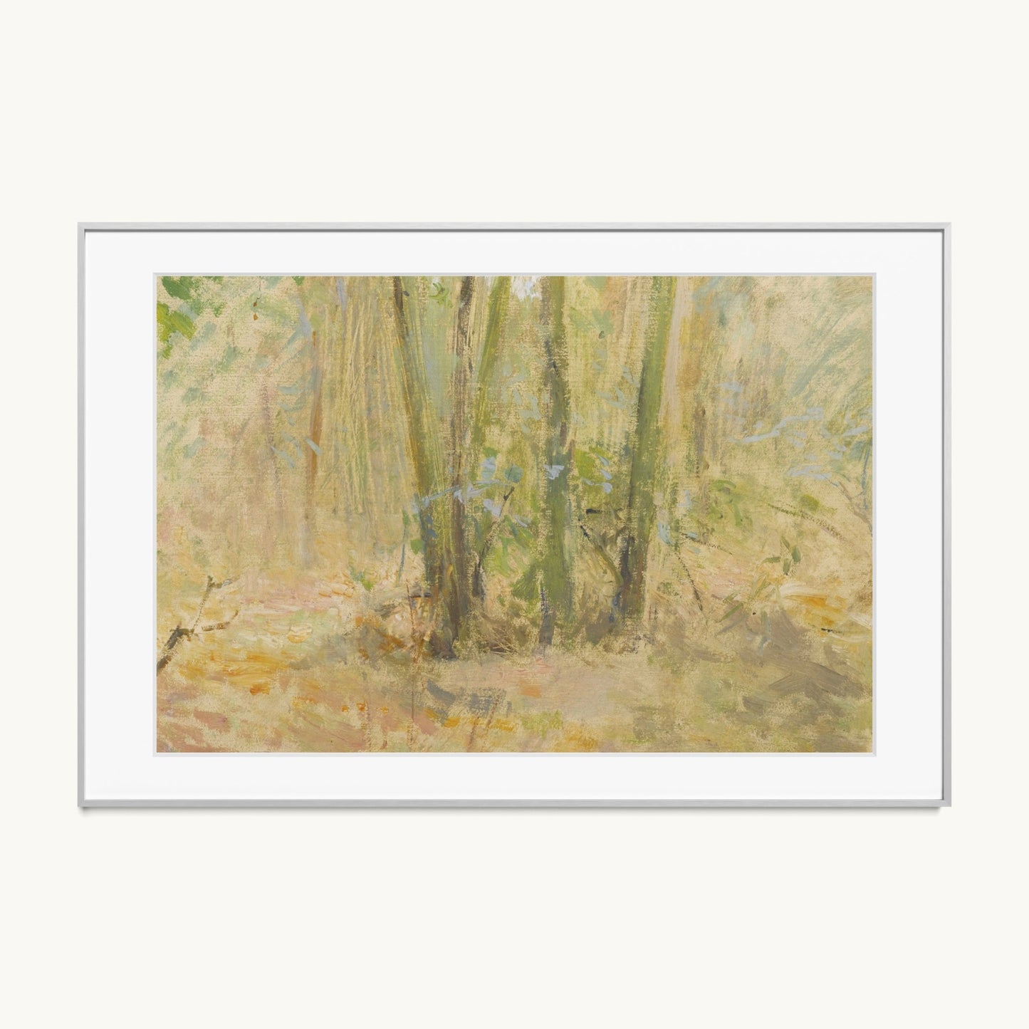 Arbres dans la forêt