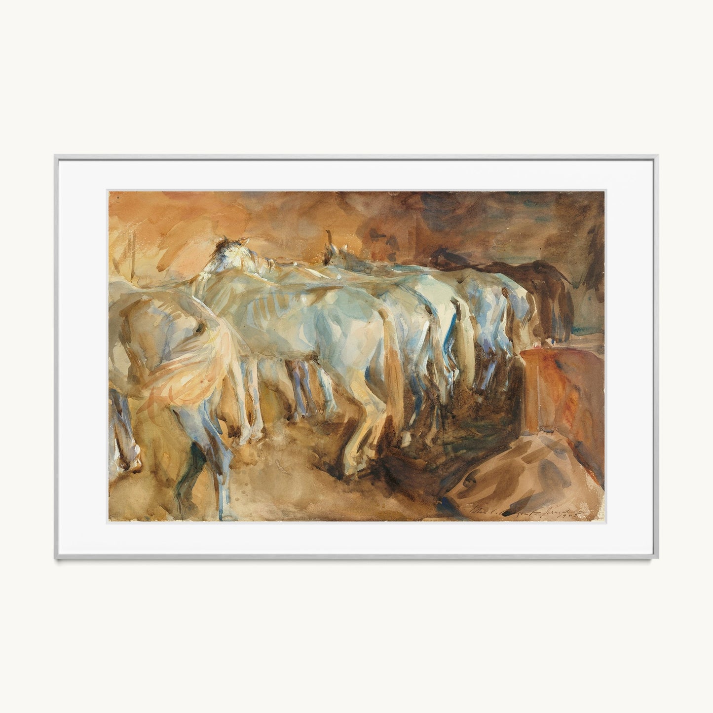 Bus Horses in Jerusalem
