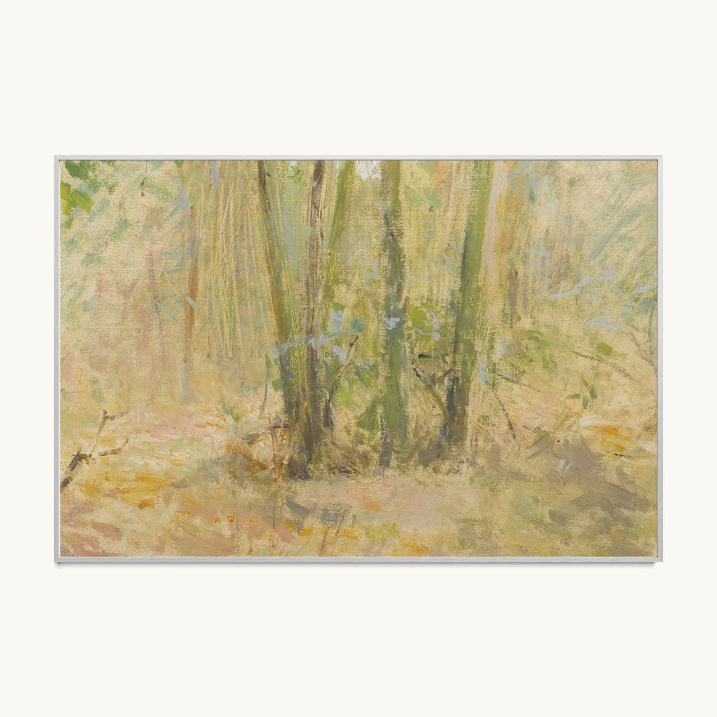 Arbres dans la forêt