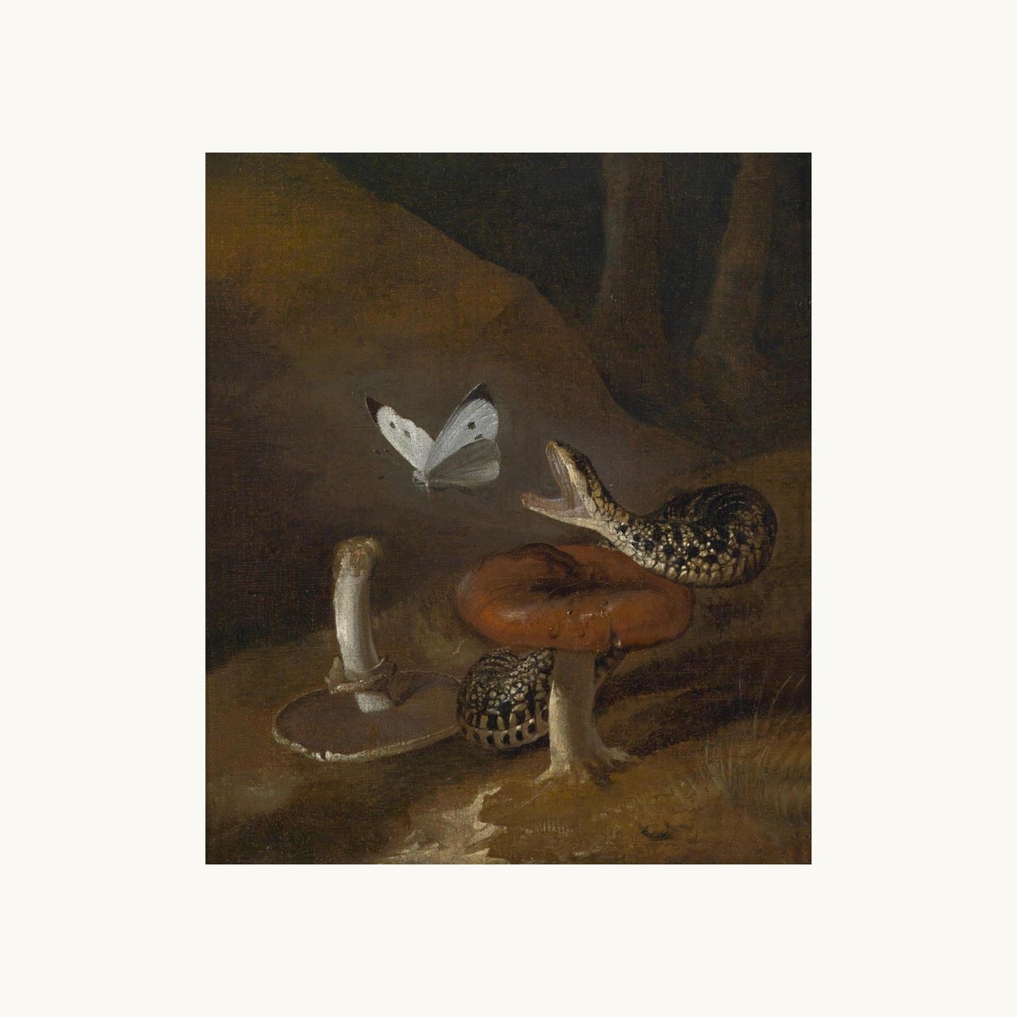 A Sous-bois Still Life with a Snake