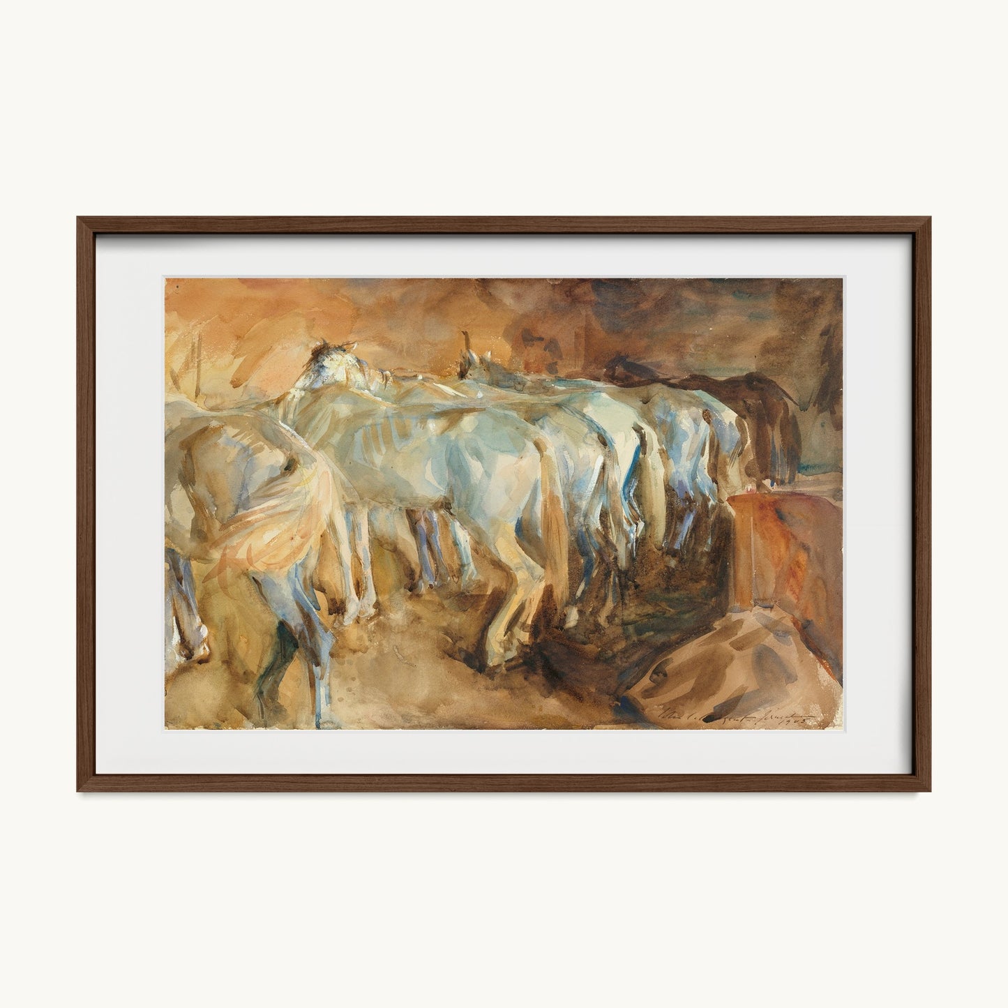 Bus Horses in Jerusalem