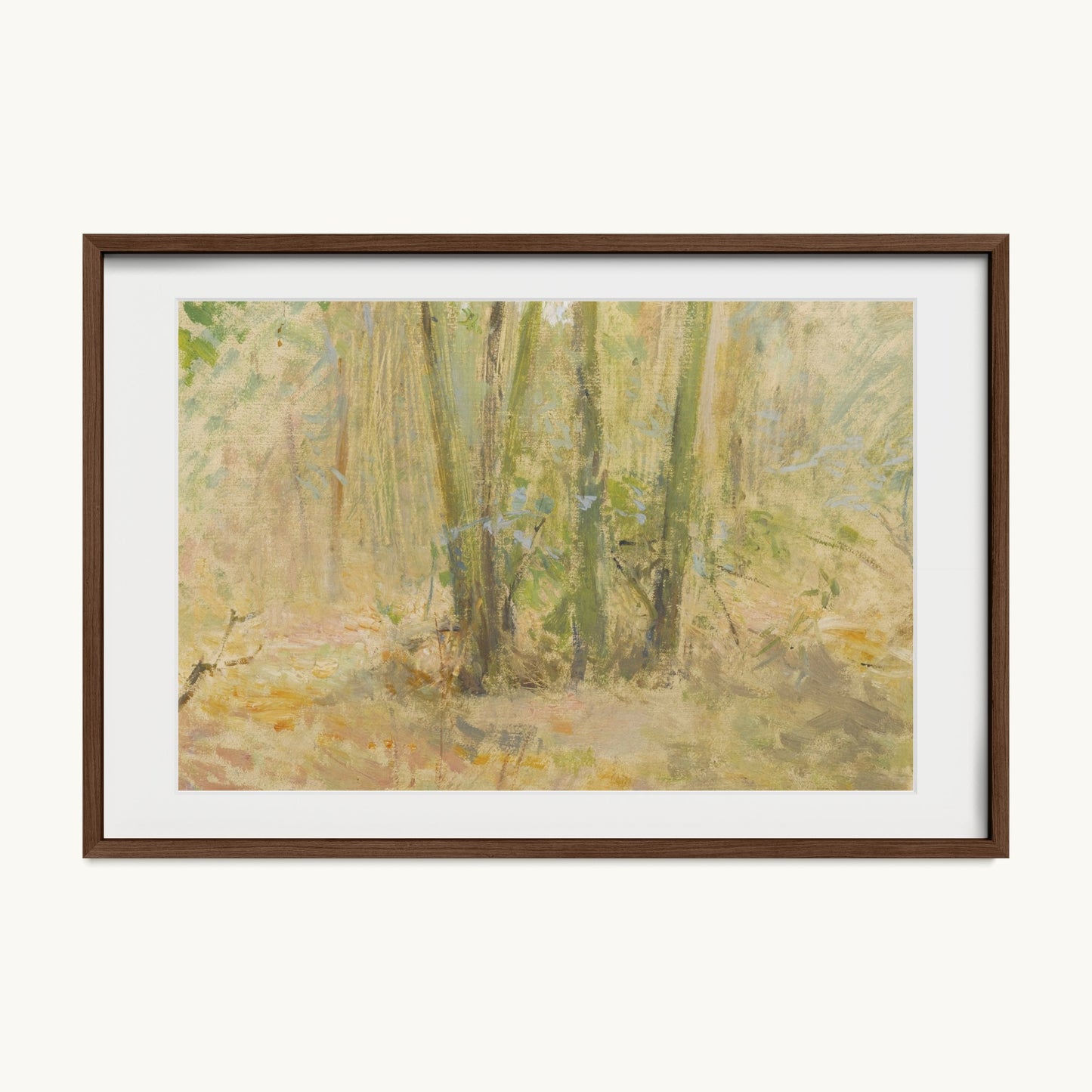 Arbres dans la forêt