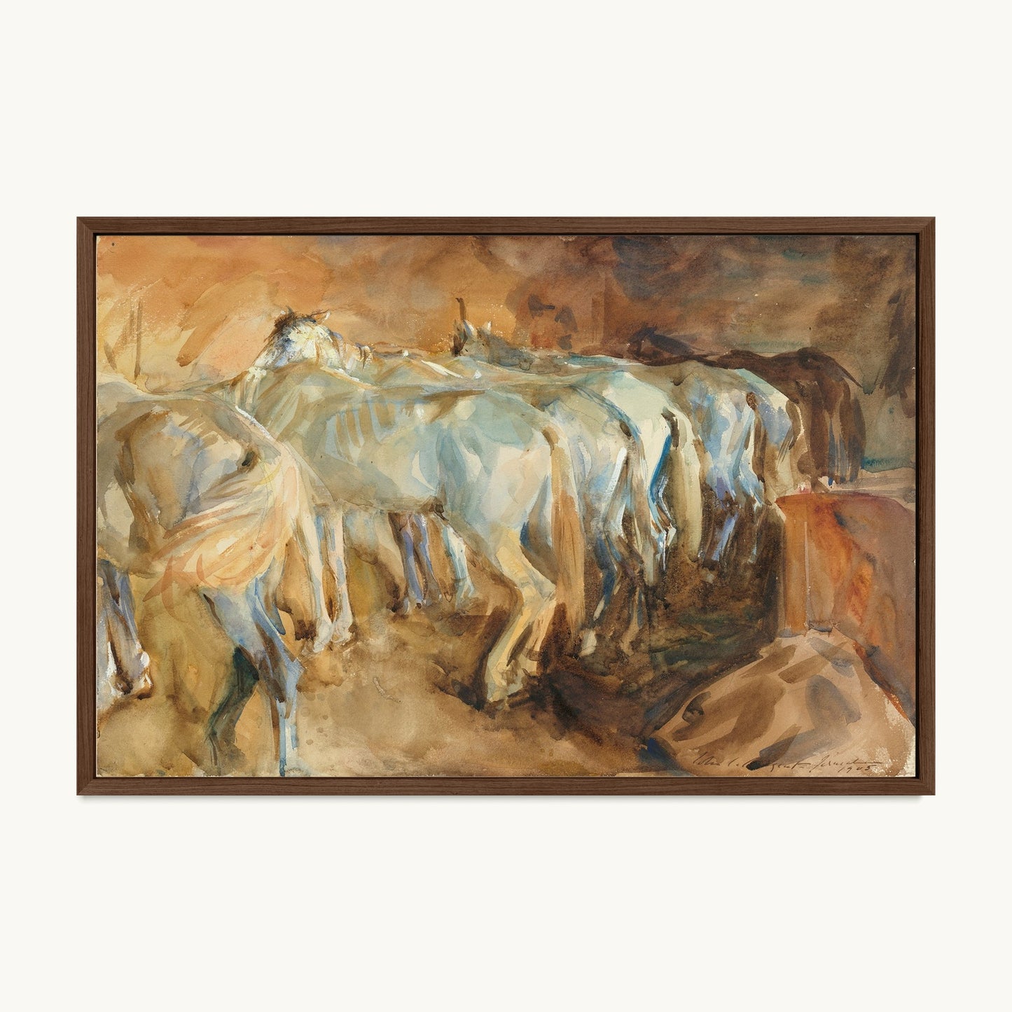 Bus Horses in Jerusalem