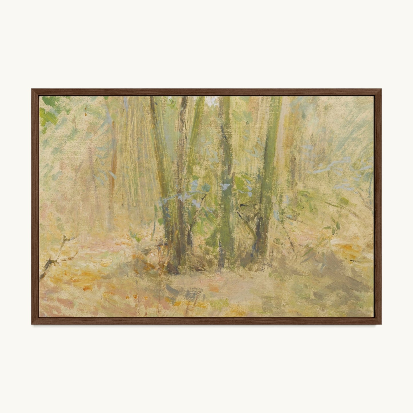 Arbres dans la forêt
