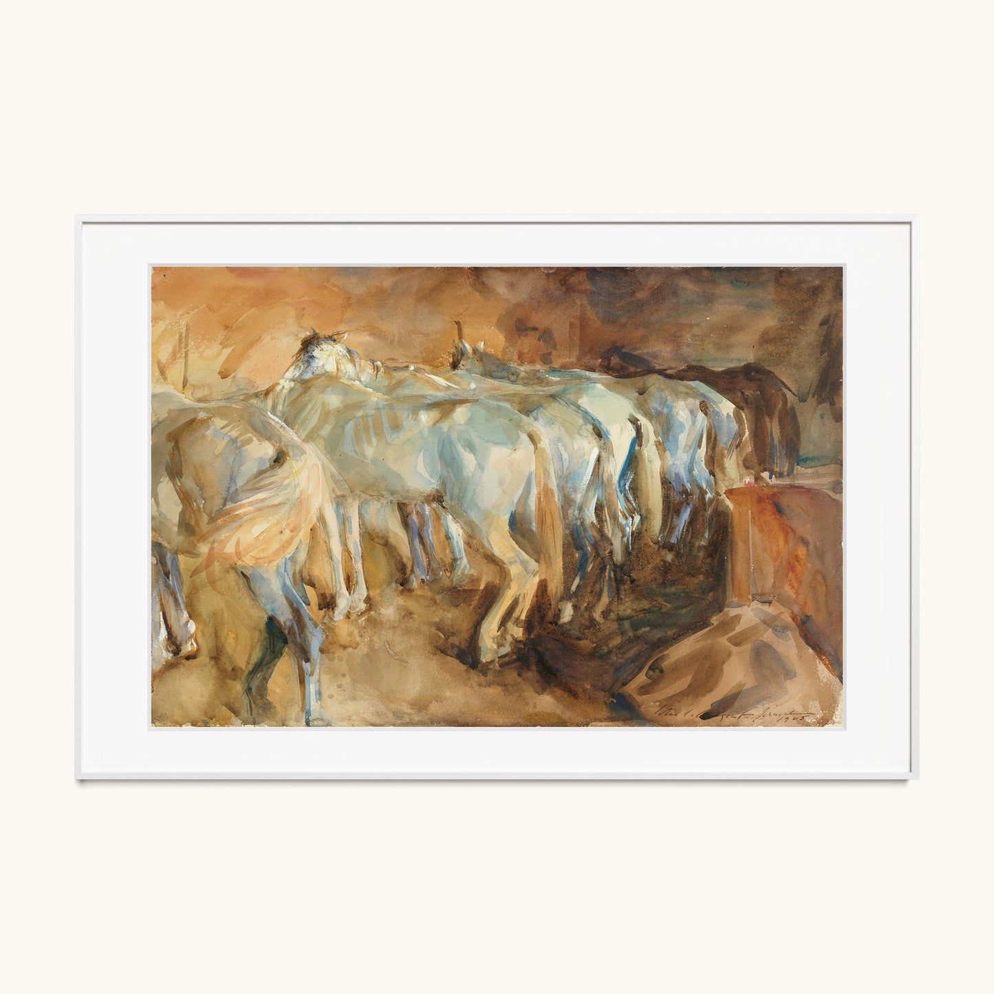 Bus Horses in Jerusalem