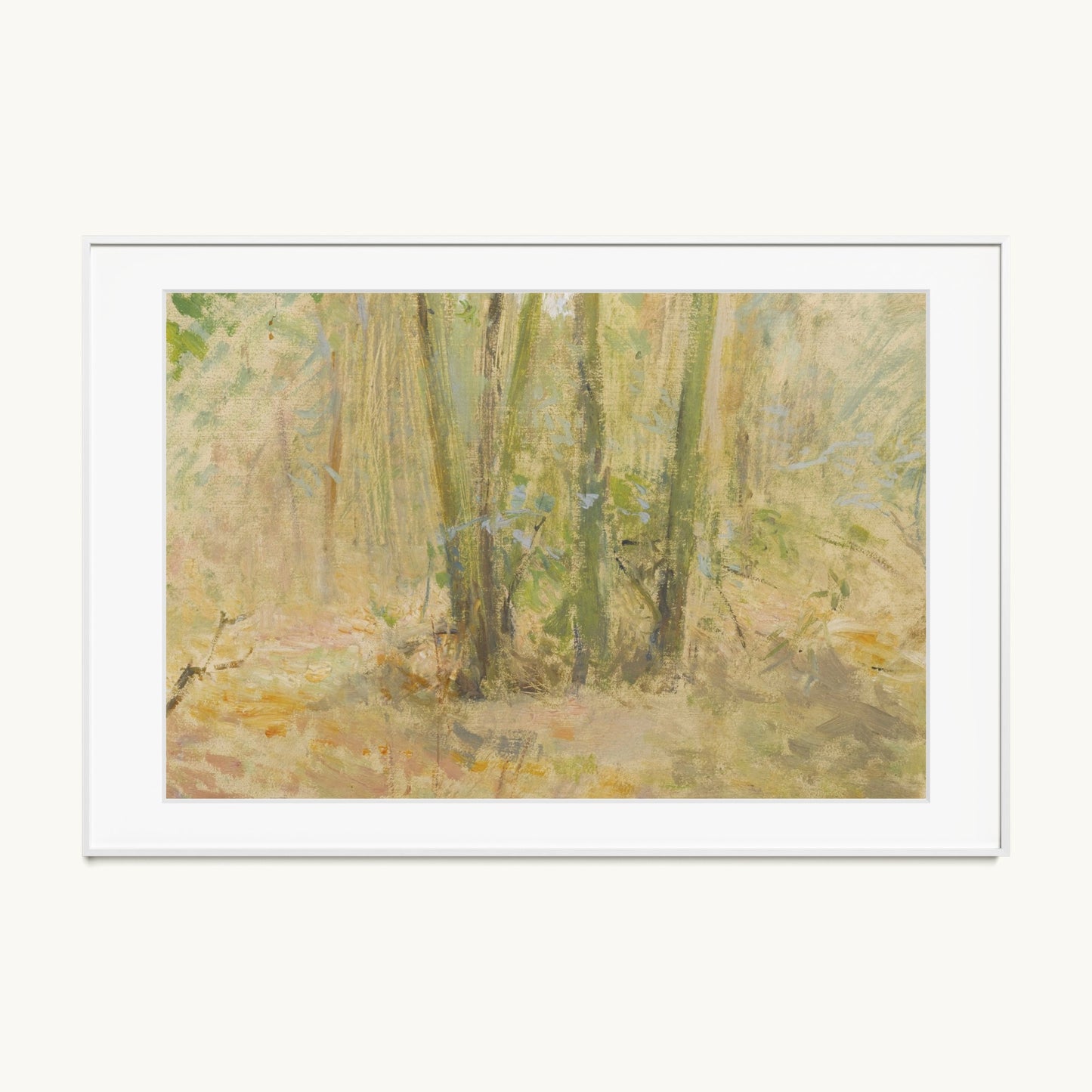 Arbres dans la forêt