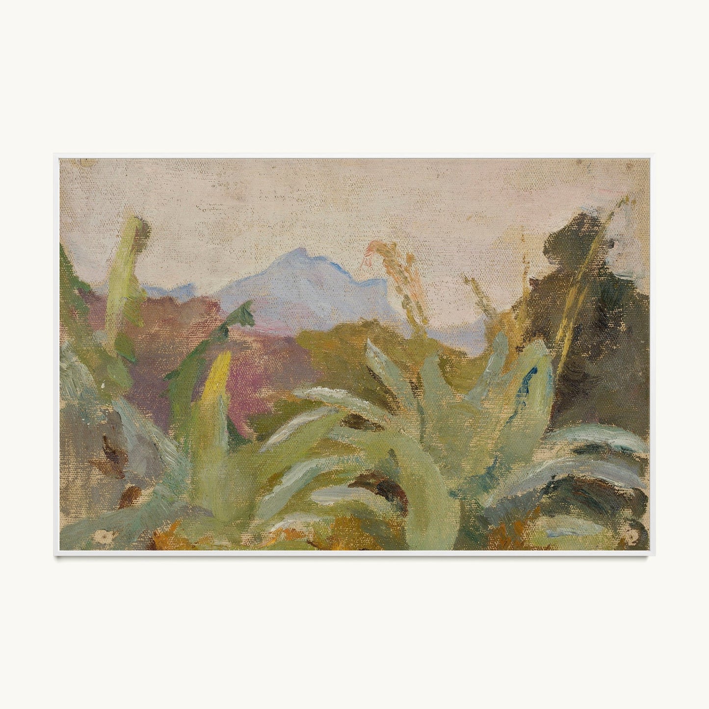 Ceylon: Adam's Peak Landscape