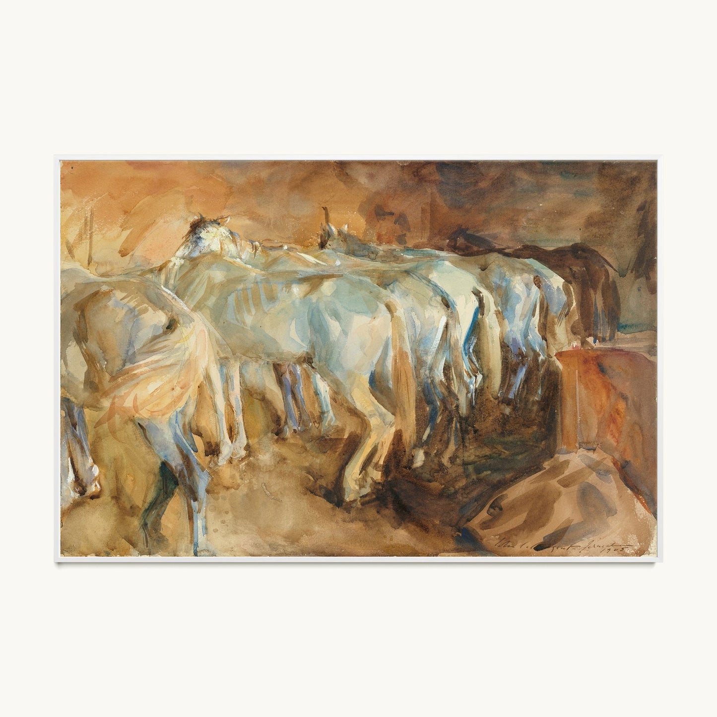 Bus Horses in Jerusalem