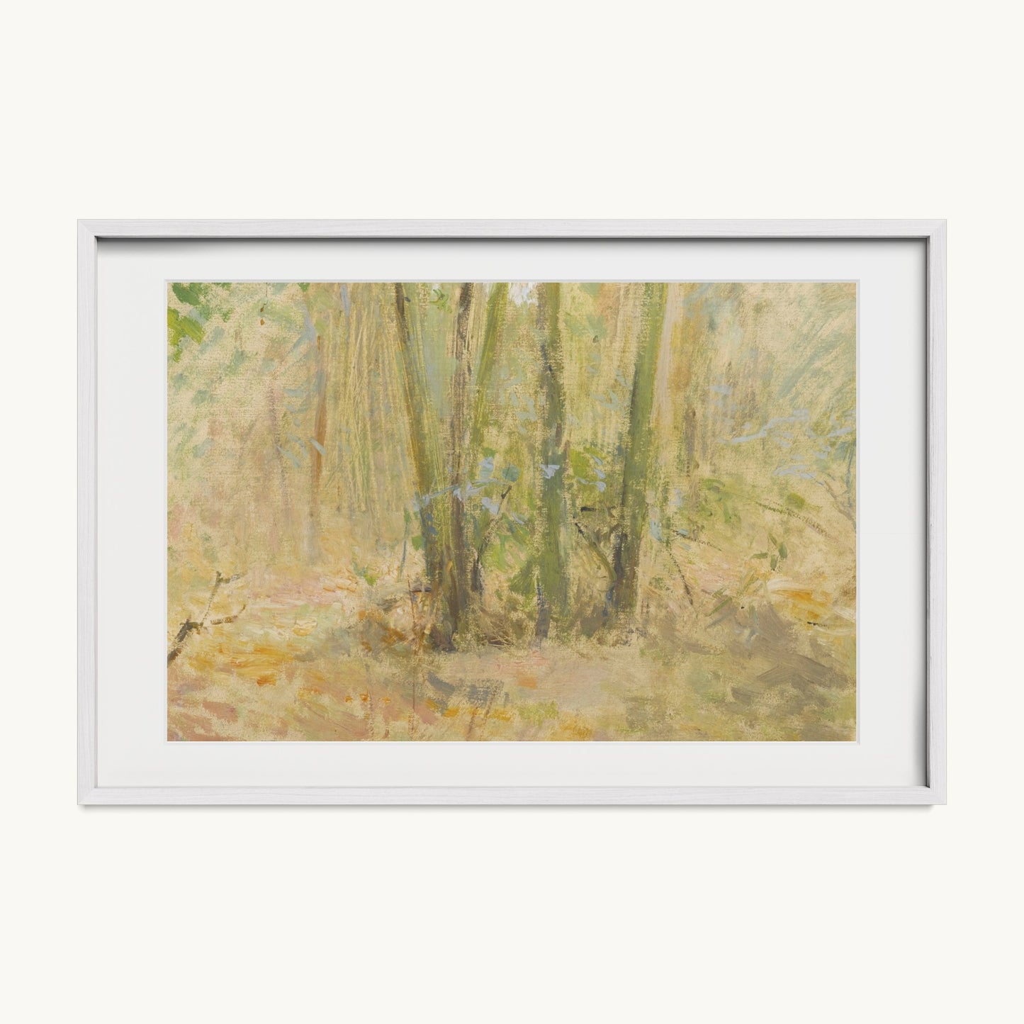 Arbres dans la forêt