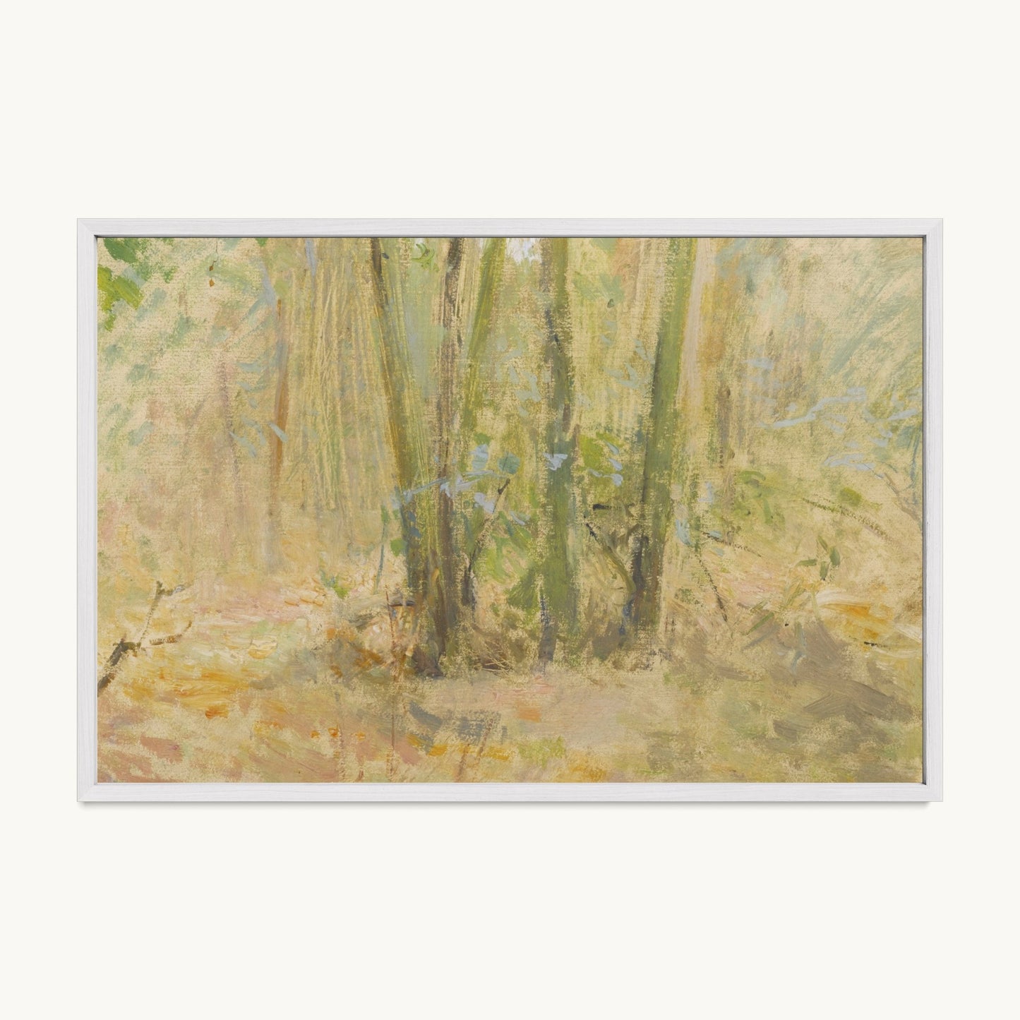 Arbres dans la forêt