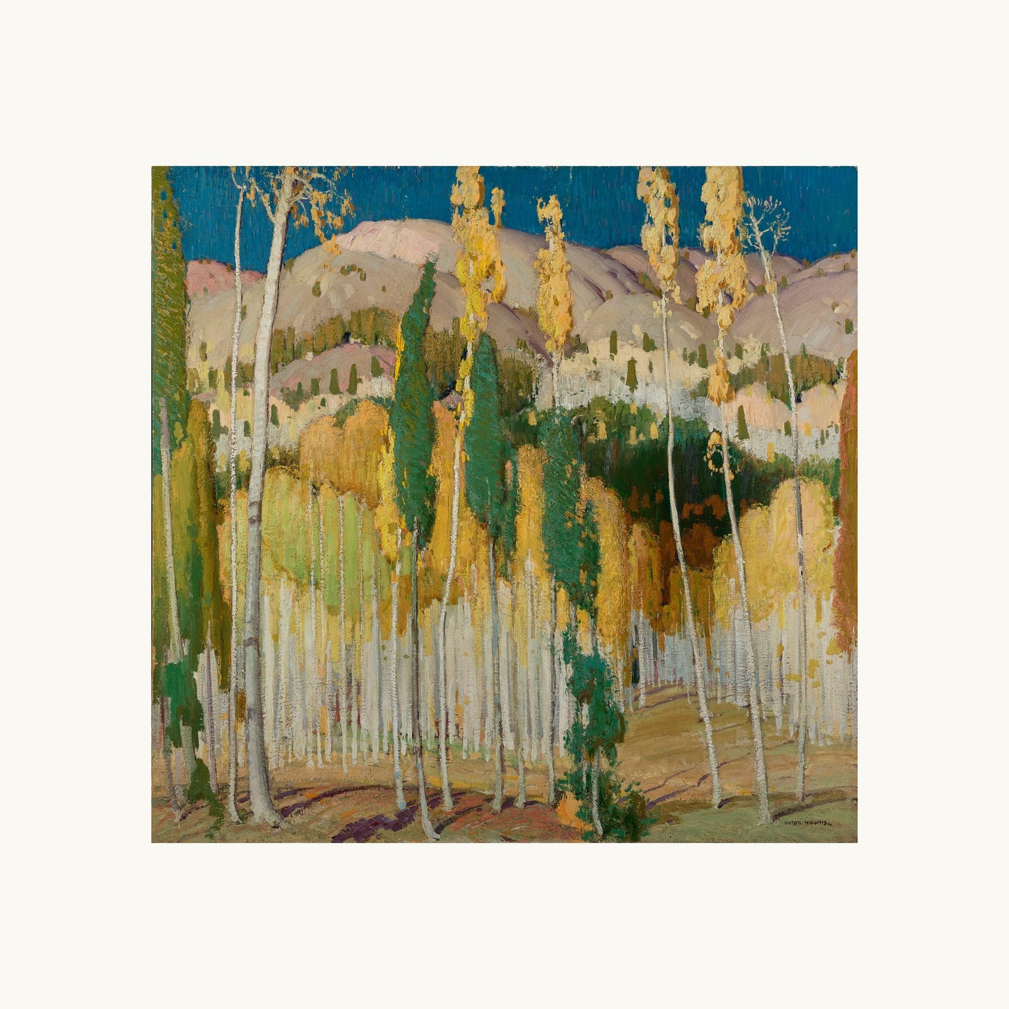 Aspen Trees at Twining