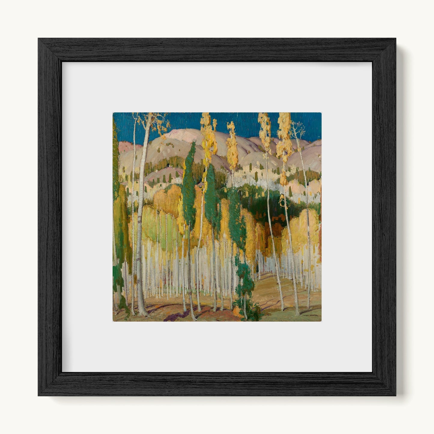 Aspen Trees at Twining