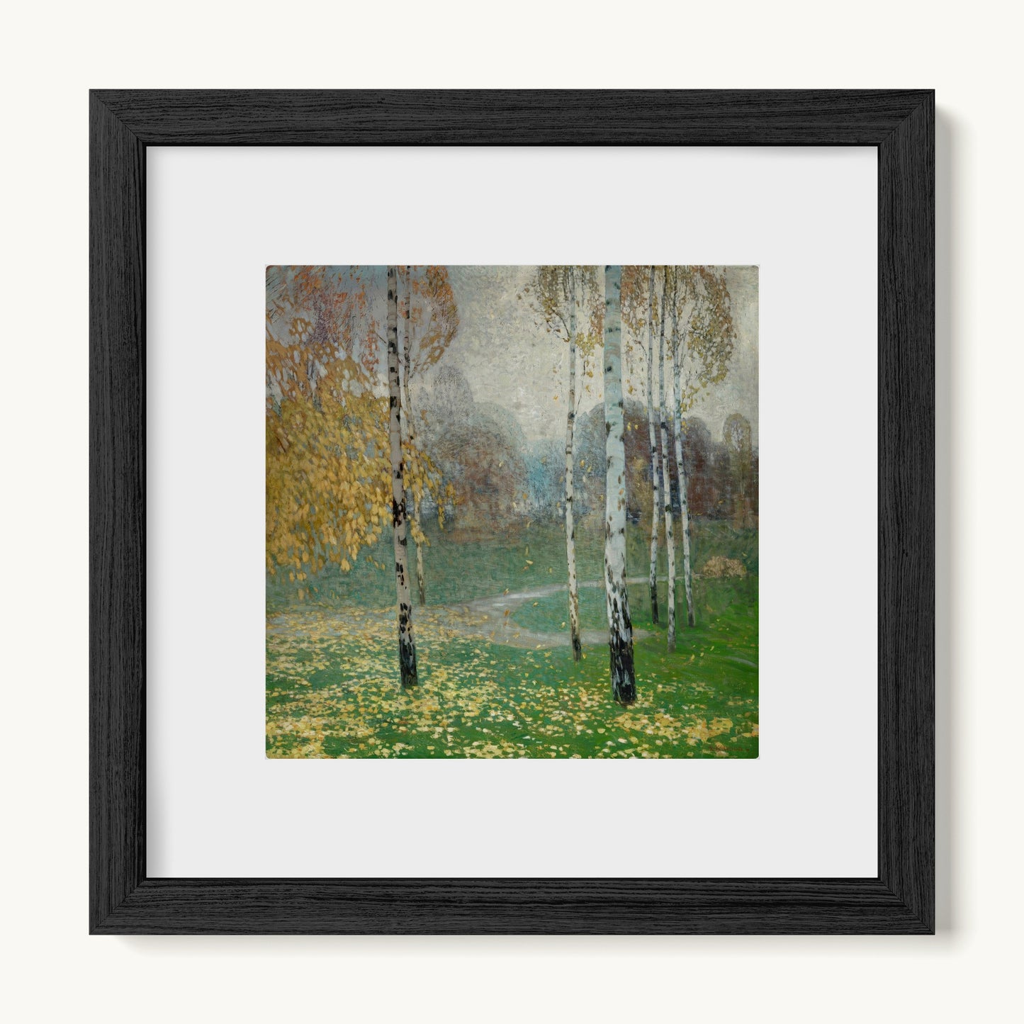 Birch Trees
