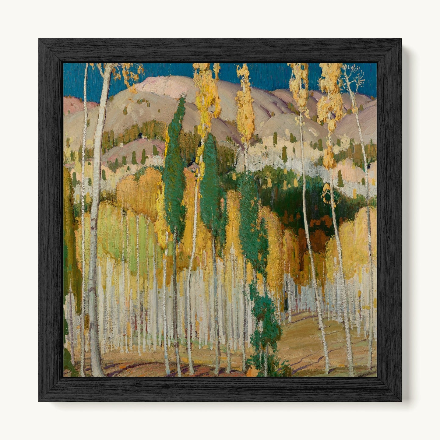 Aspen Trees at Twining