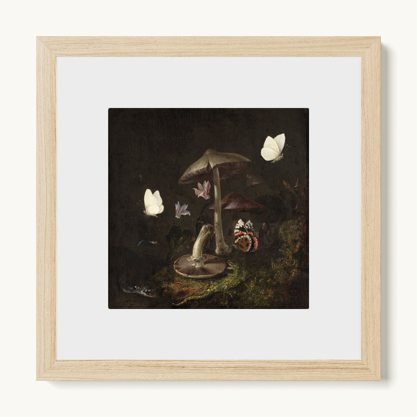 A Sottobosco with Mushrooms, Butterflies, a Dragonfly, a Snake and a Lizard
