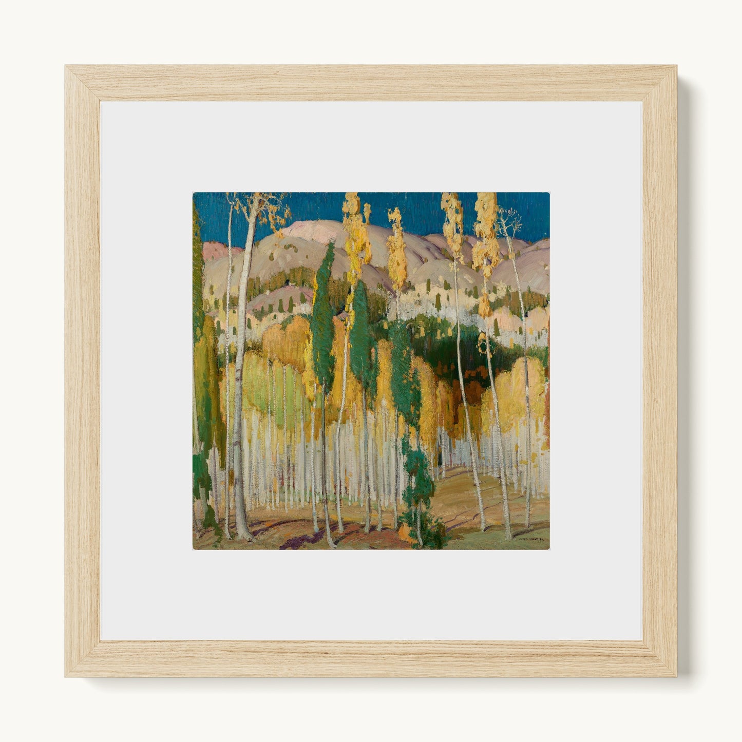 Aspen Trees at Twining