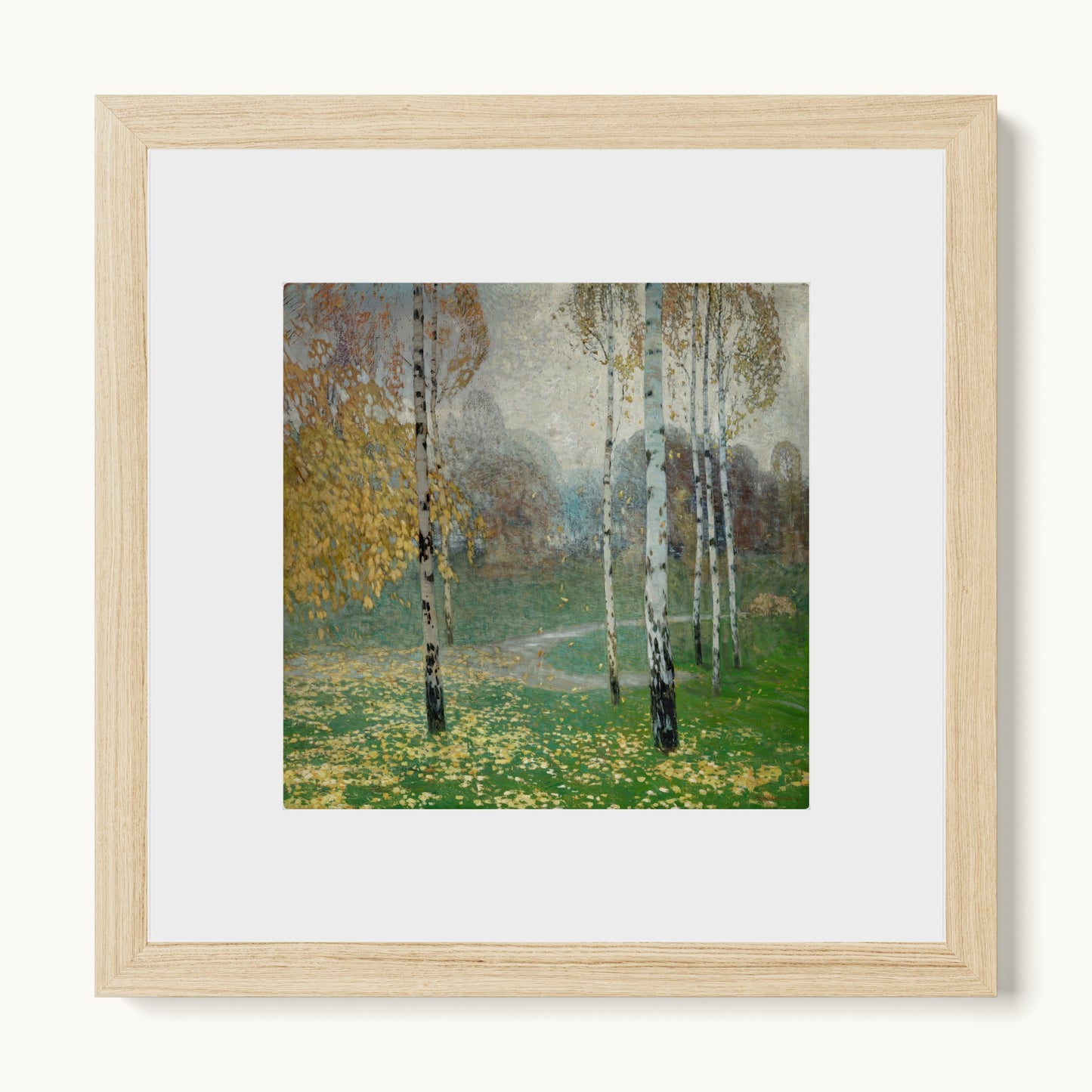 Birch Trees