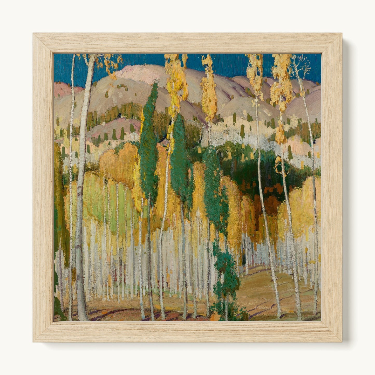 Aspen Trees at Twining