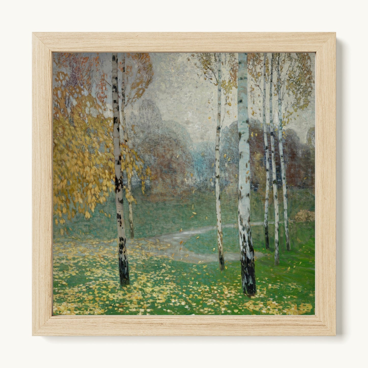 Birch Trees