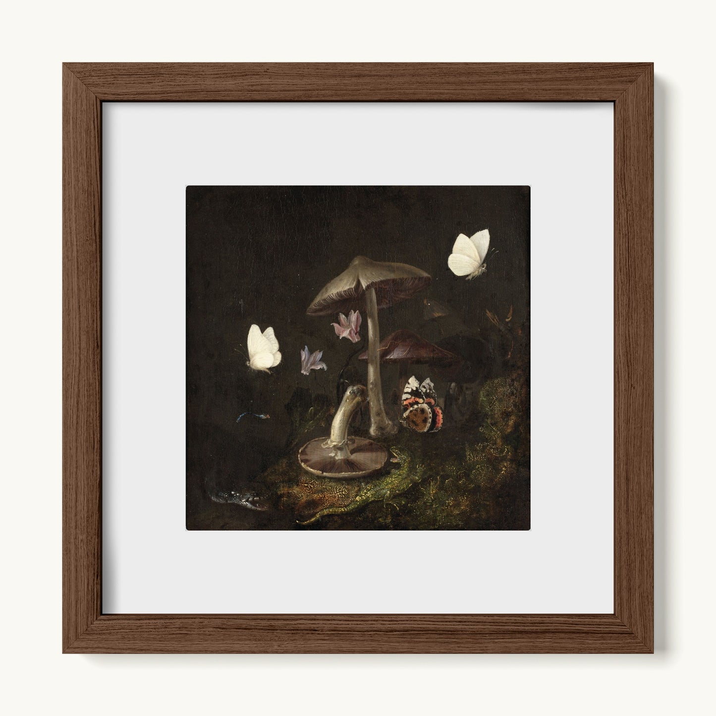 A Sottobosco with Mushrooms, Butterflies, a Dragonfly, a Snake and a Lizard