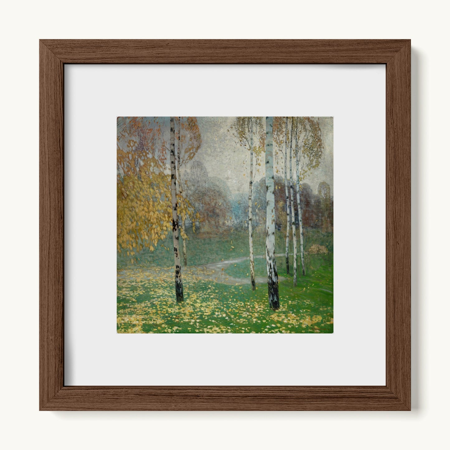 Birch Trees