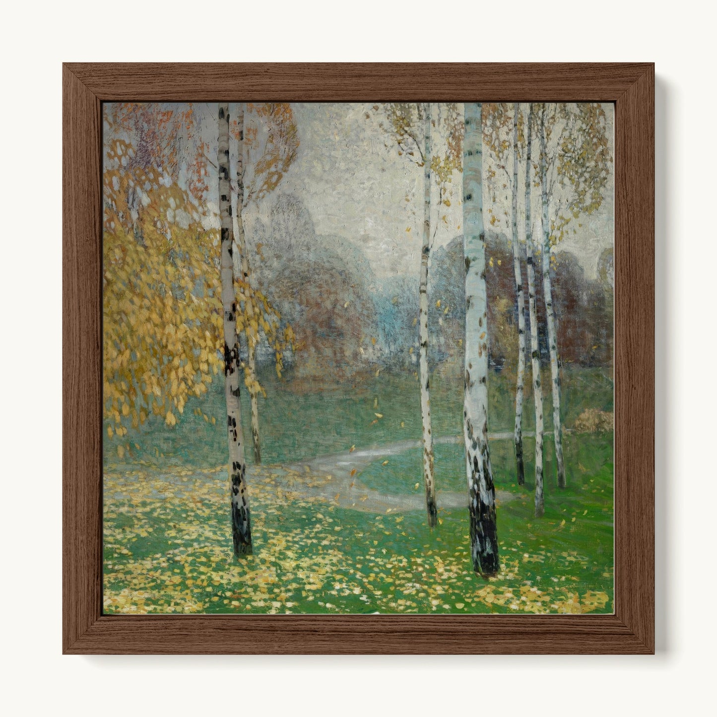 Birch Trees
