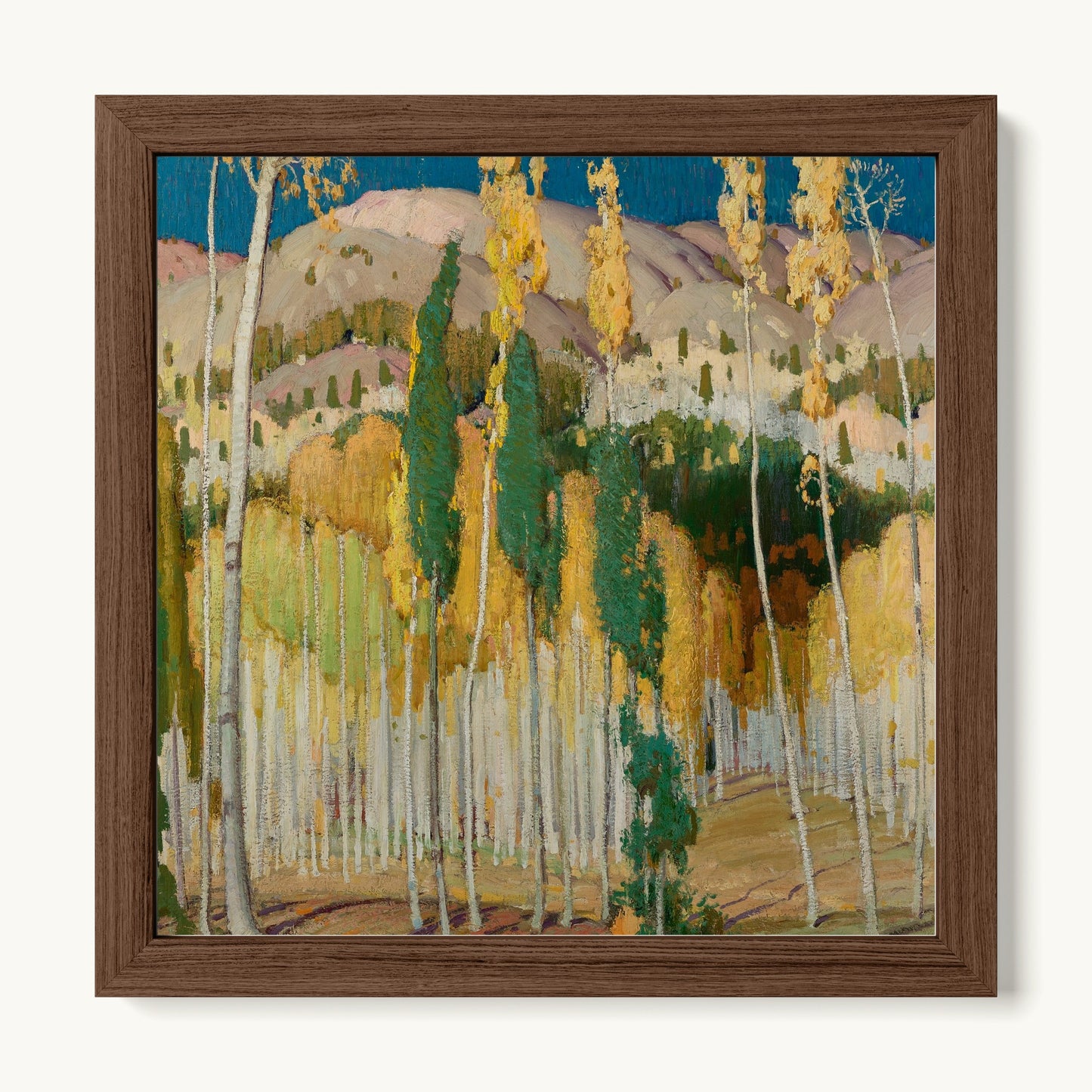 Aspen Trees at Twining