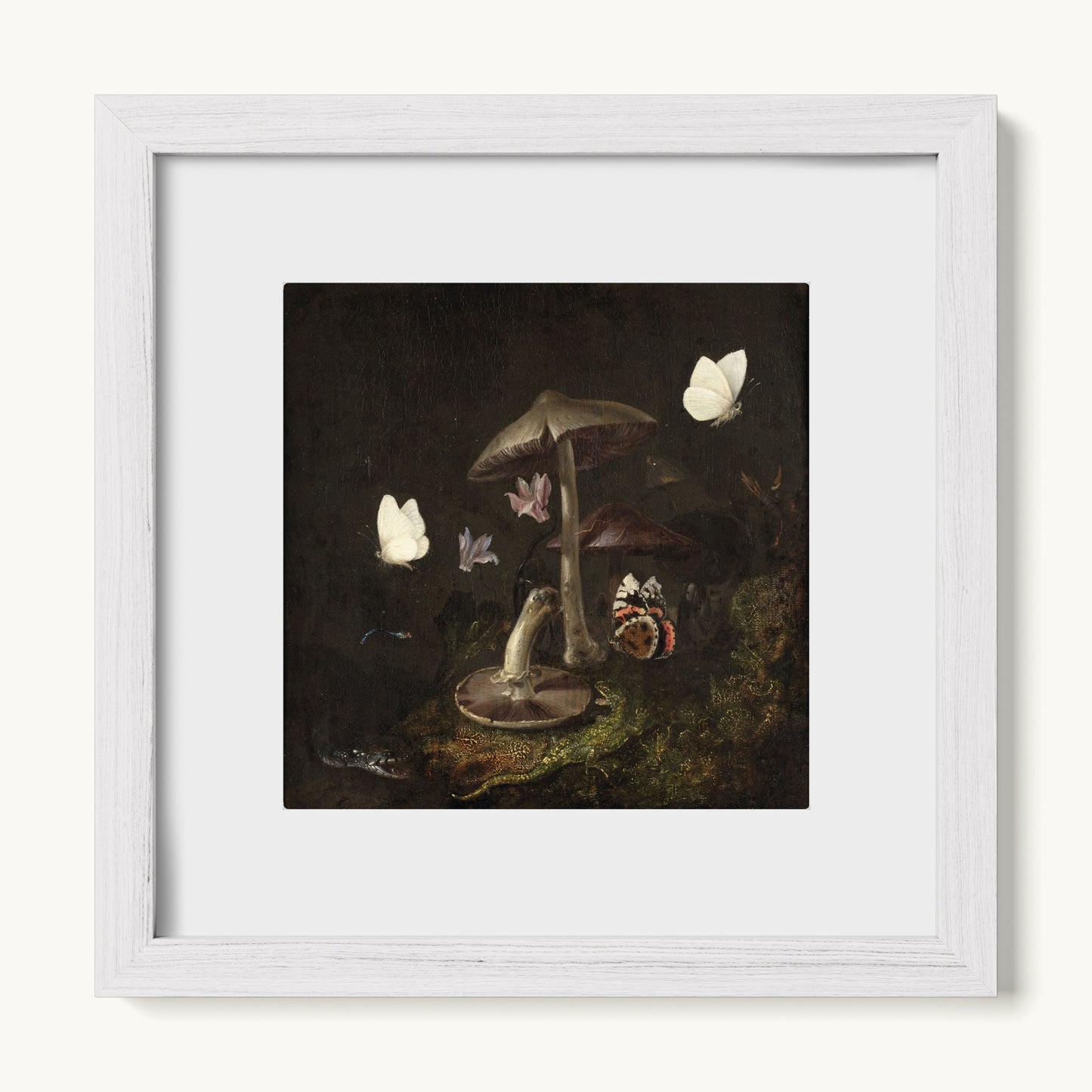 A Sottobosco with Mushrooms, Butterflies, a Dragonfly, a Snake and a Lizard