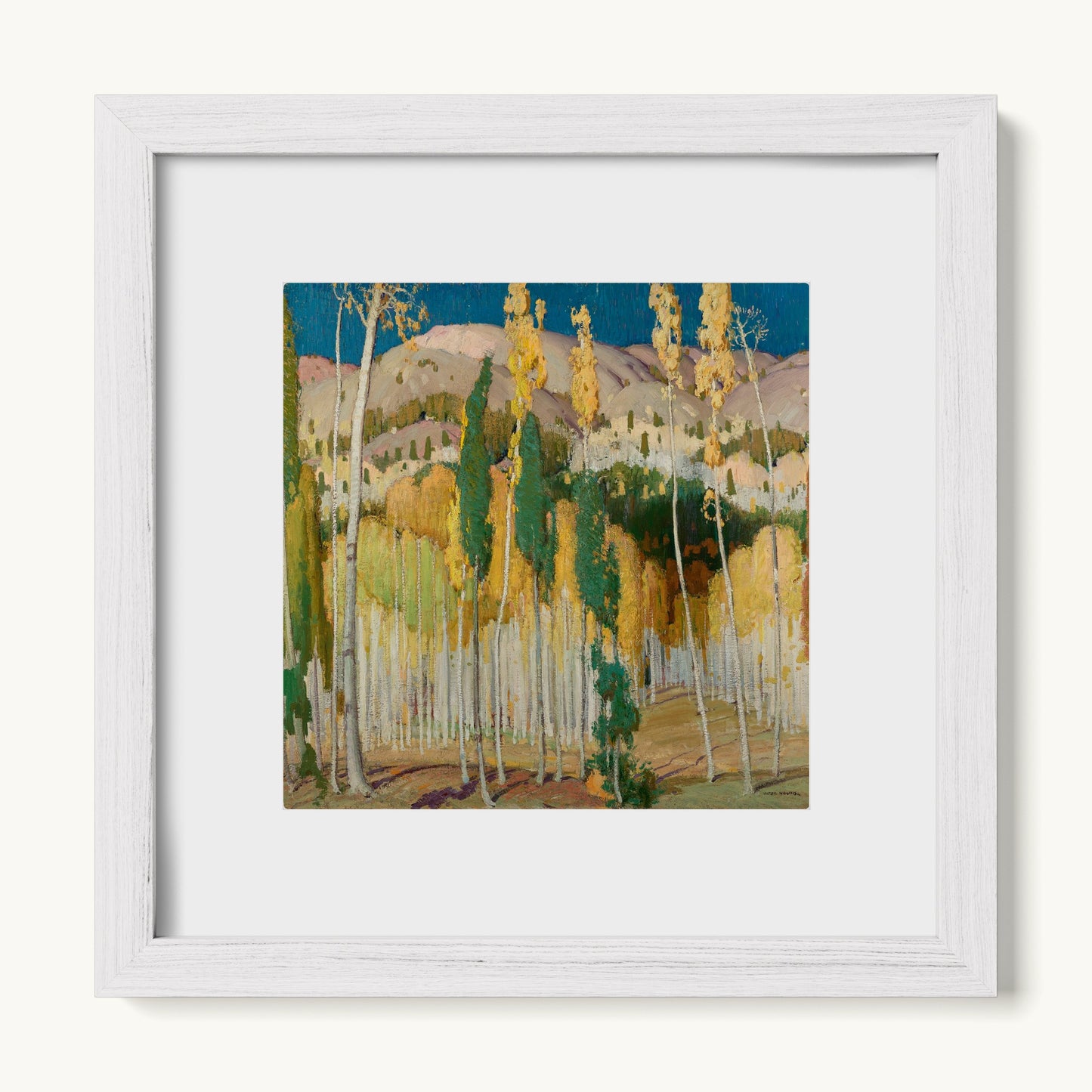 Aspen Trees at Twining
