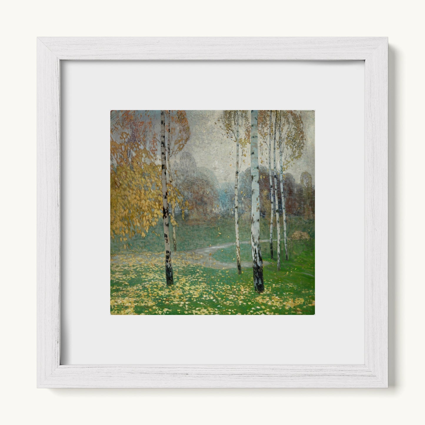 Birch Trees