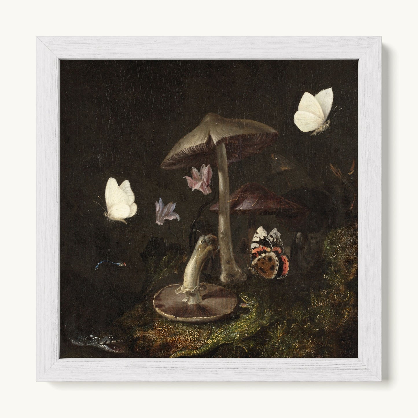 A Sottobosco with Mushrooms, Butterflies, a Dragonfly, a Snake and a Lizard