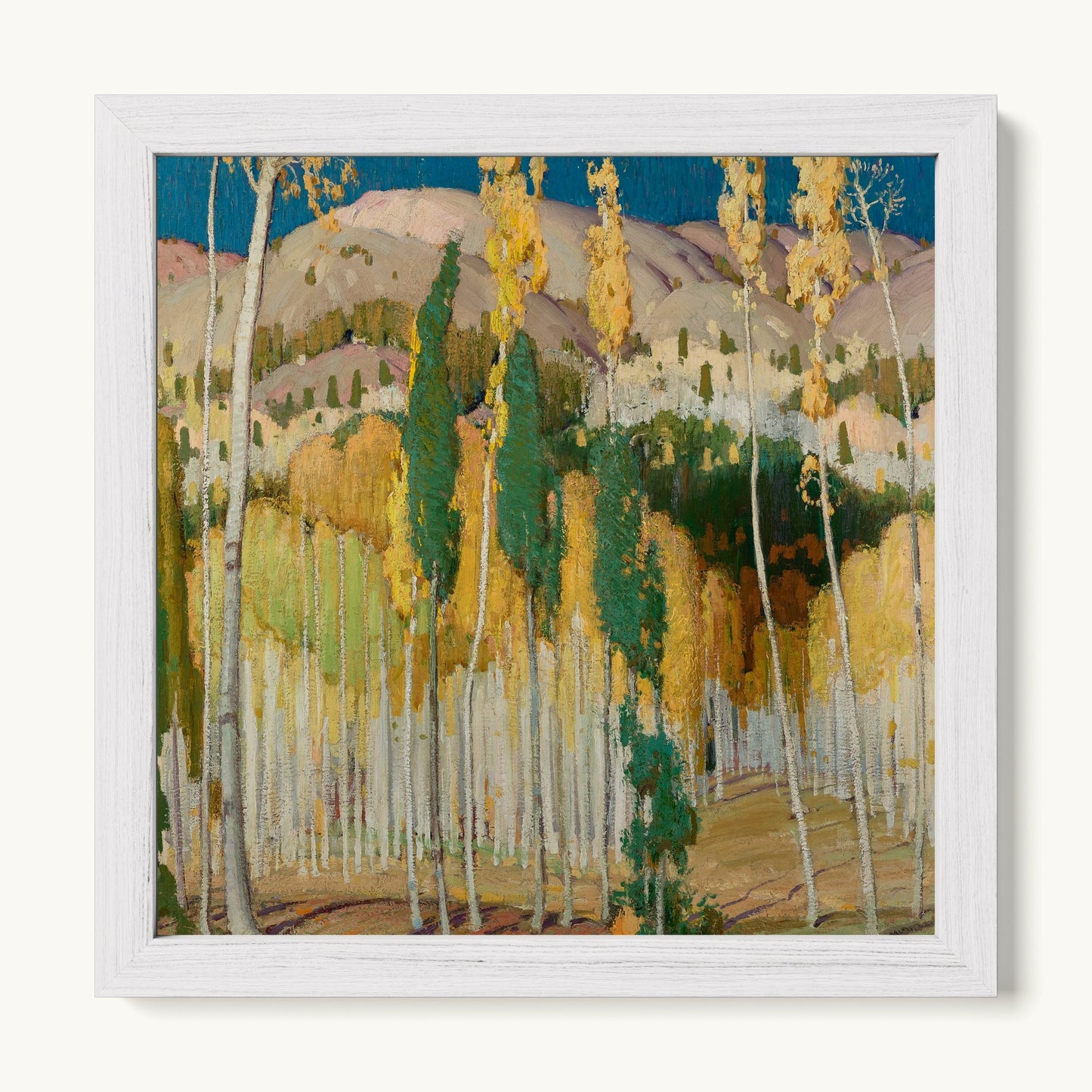Aspen Trees at Twining