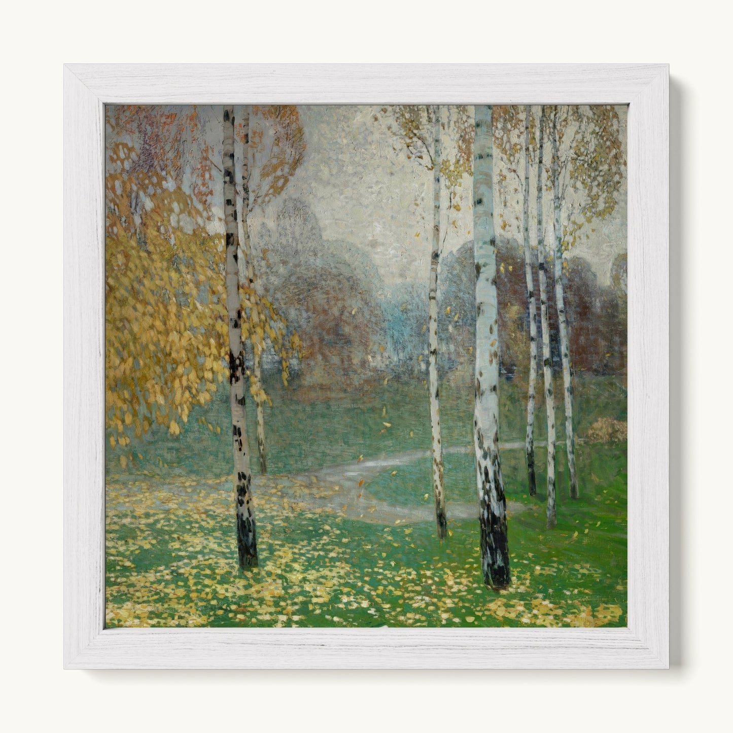 Birch Trees