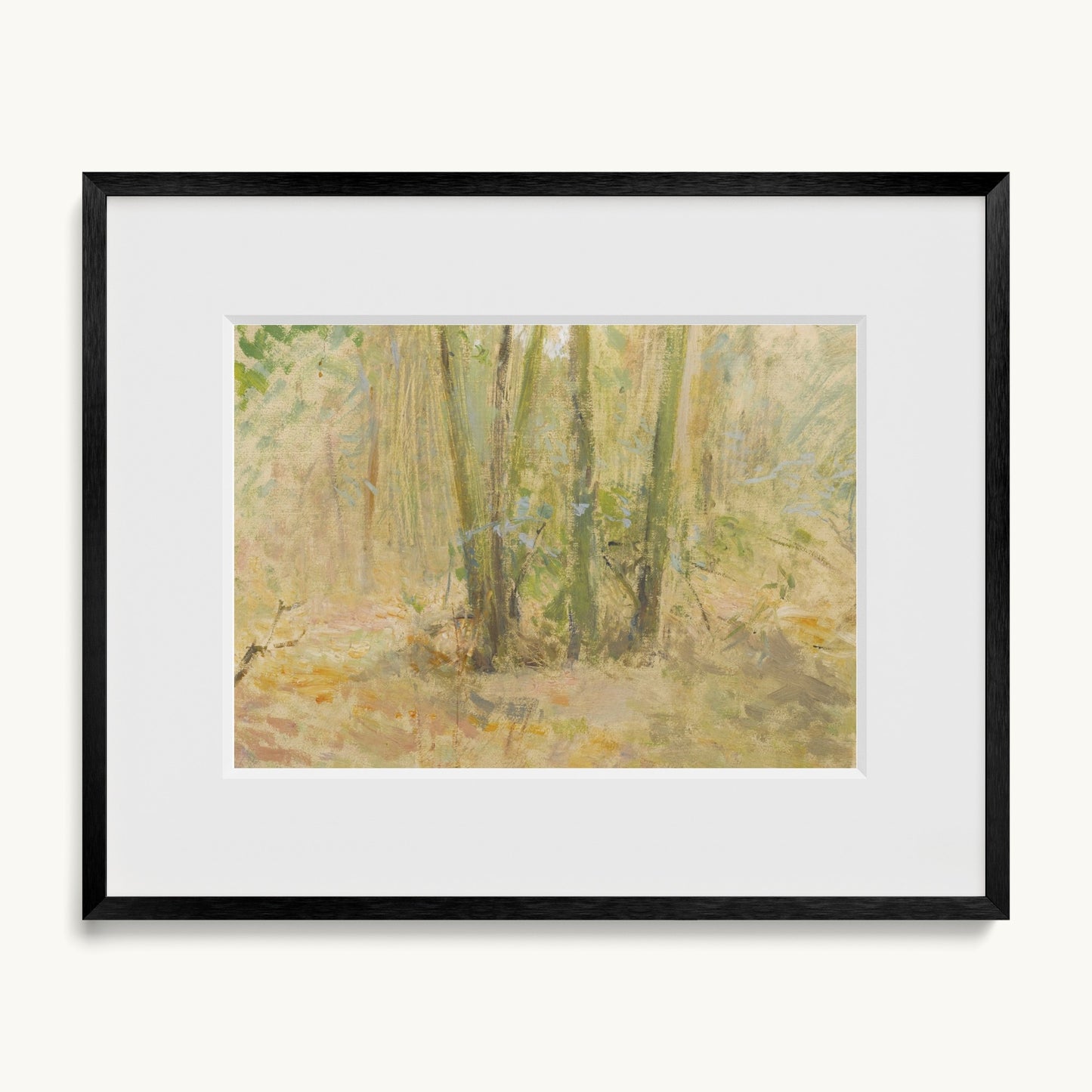 Arbres dans la forêt