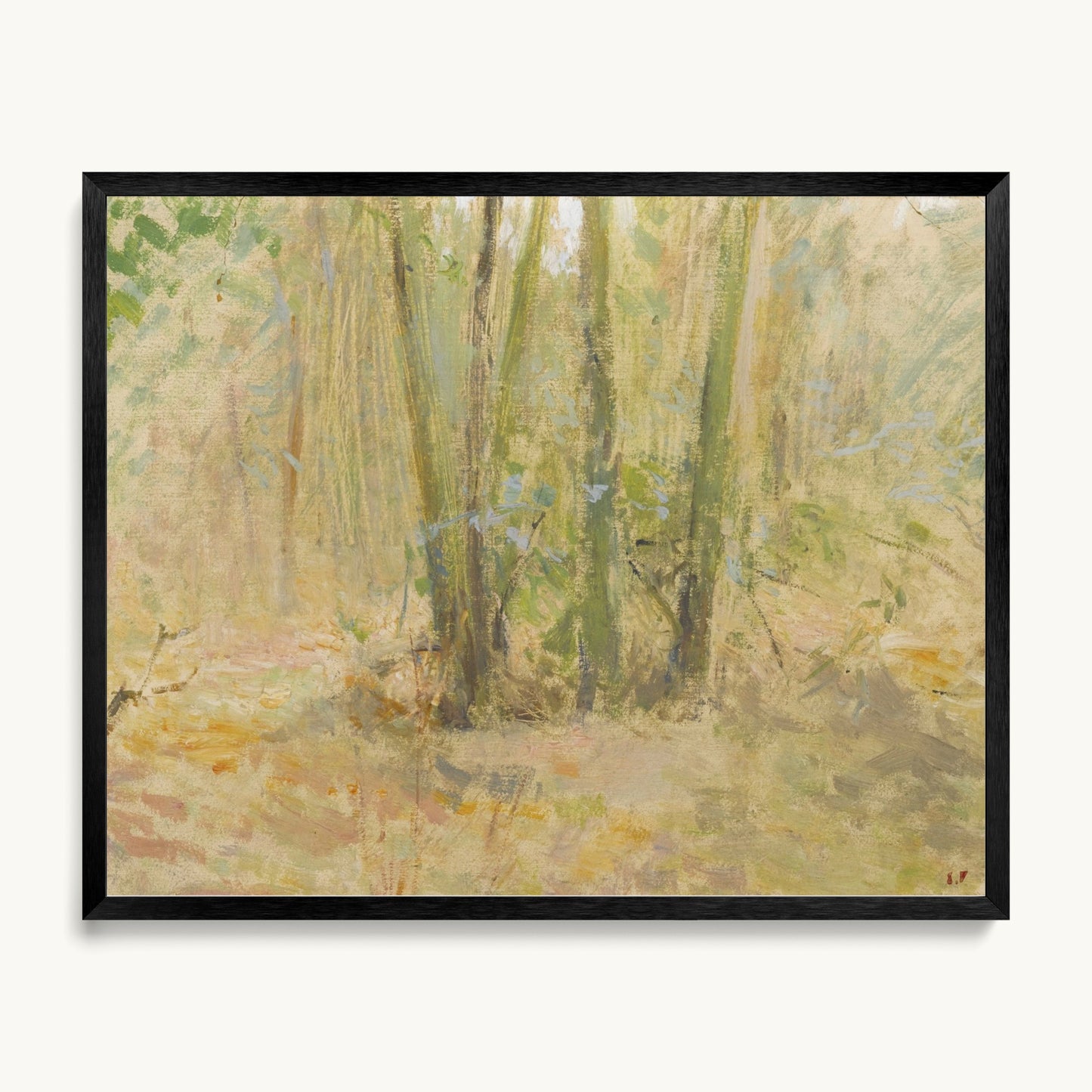 Arbres dans la forêt