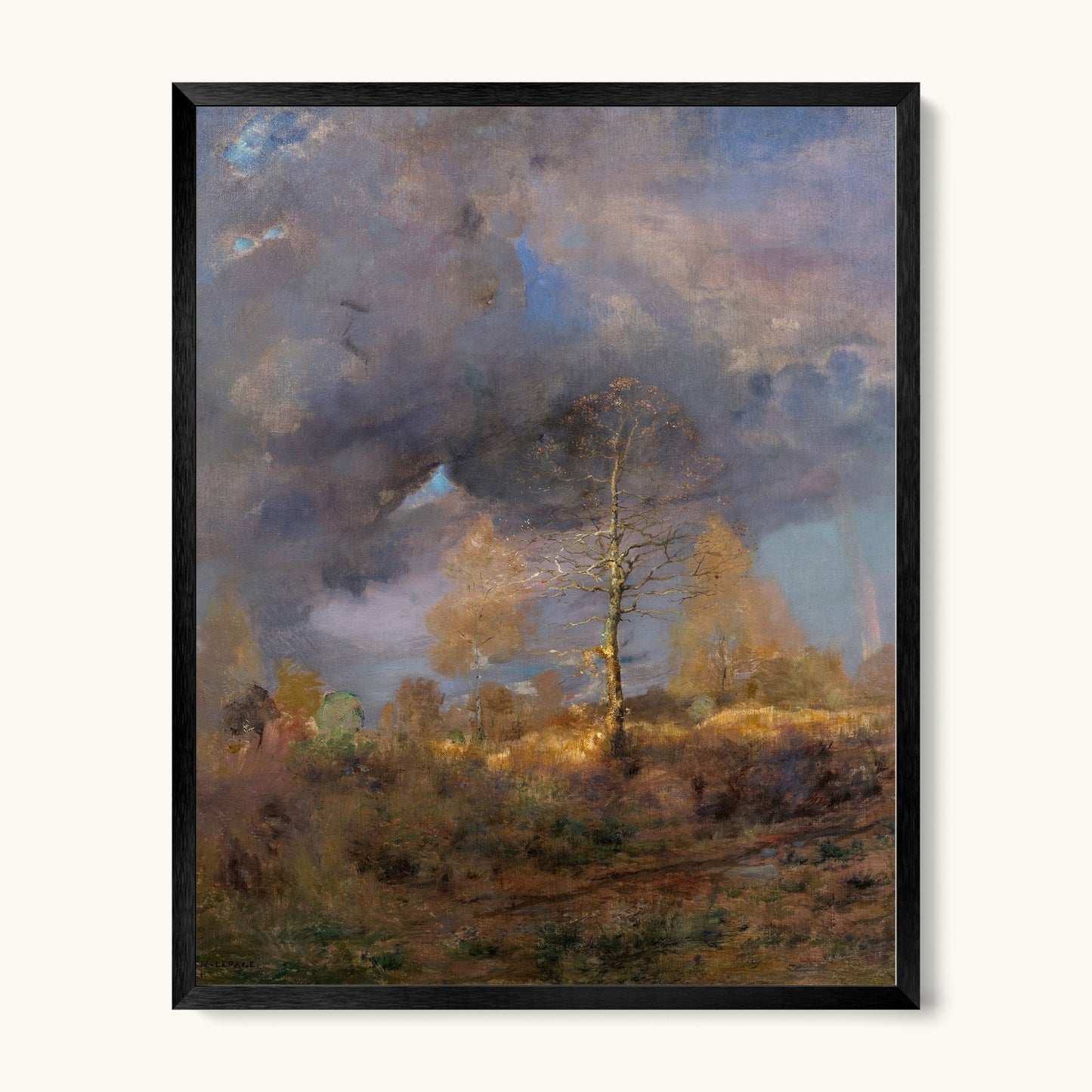 After the Storm