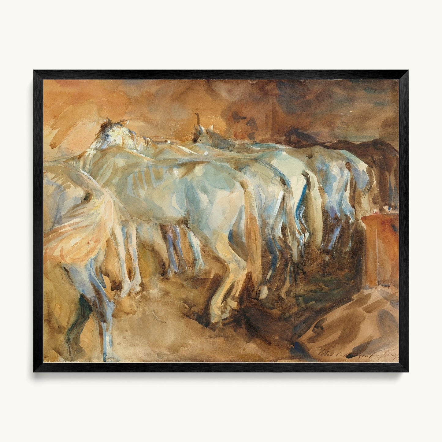 Bus Horses in Jerusalem