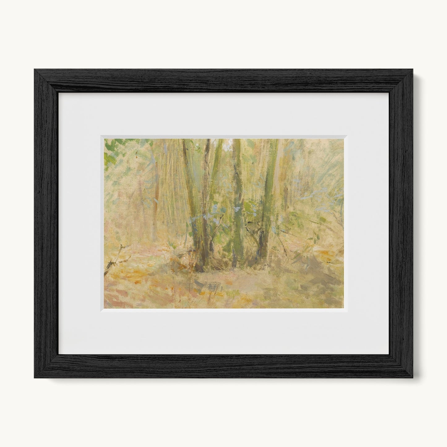 Arbres dans la forêt