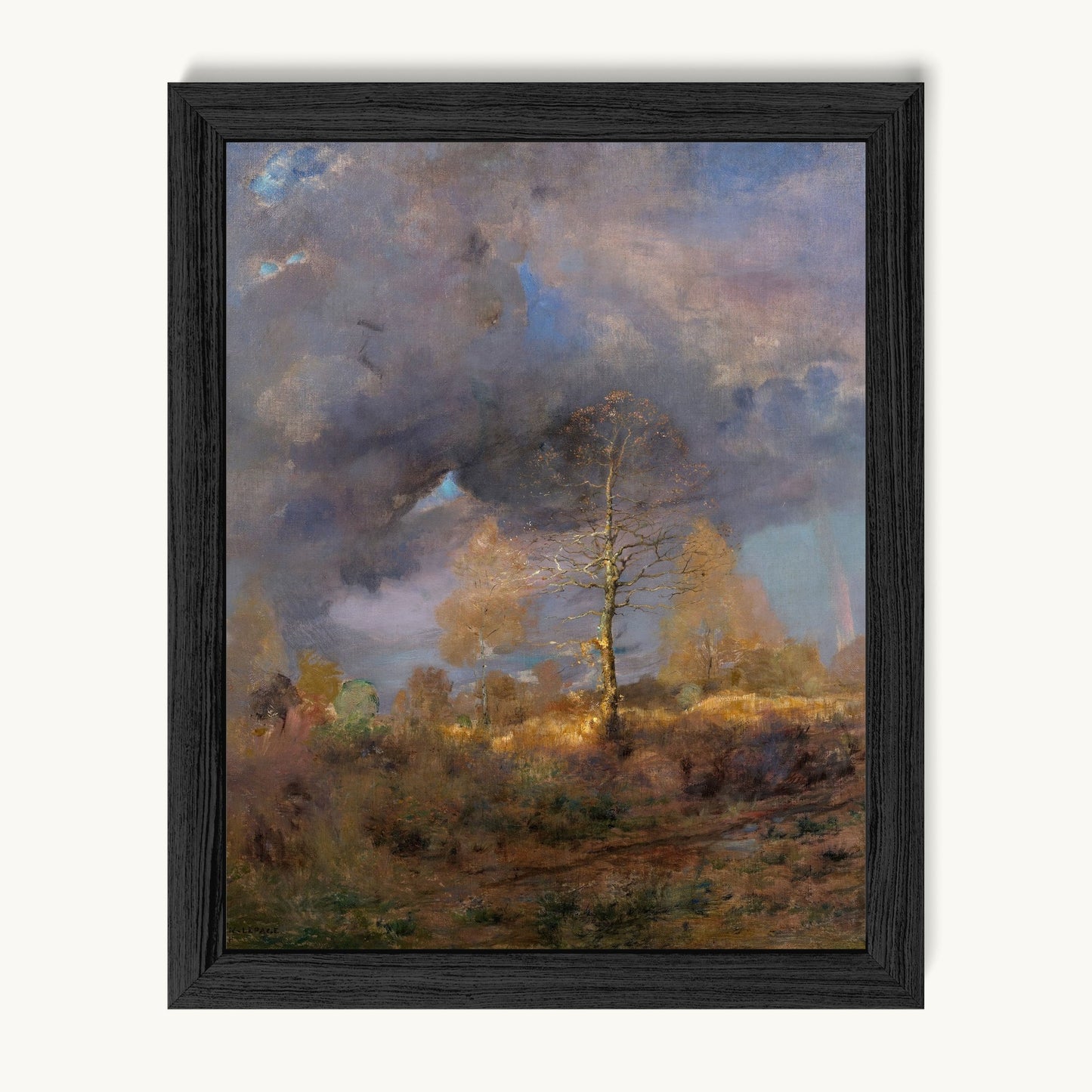 After the Storm
