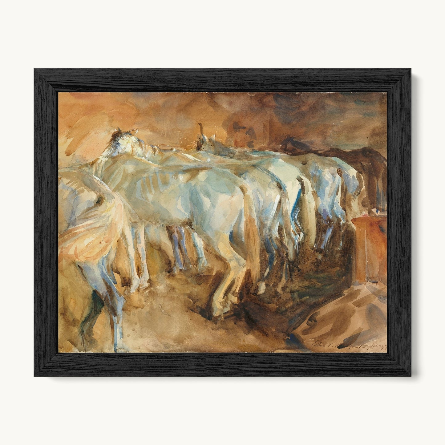 Bus Horses in Jerusalem