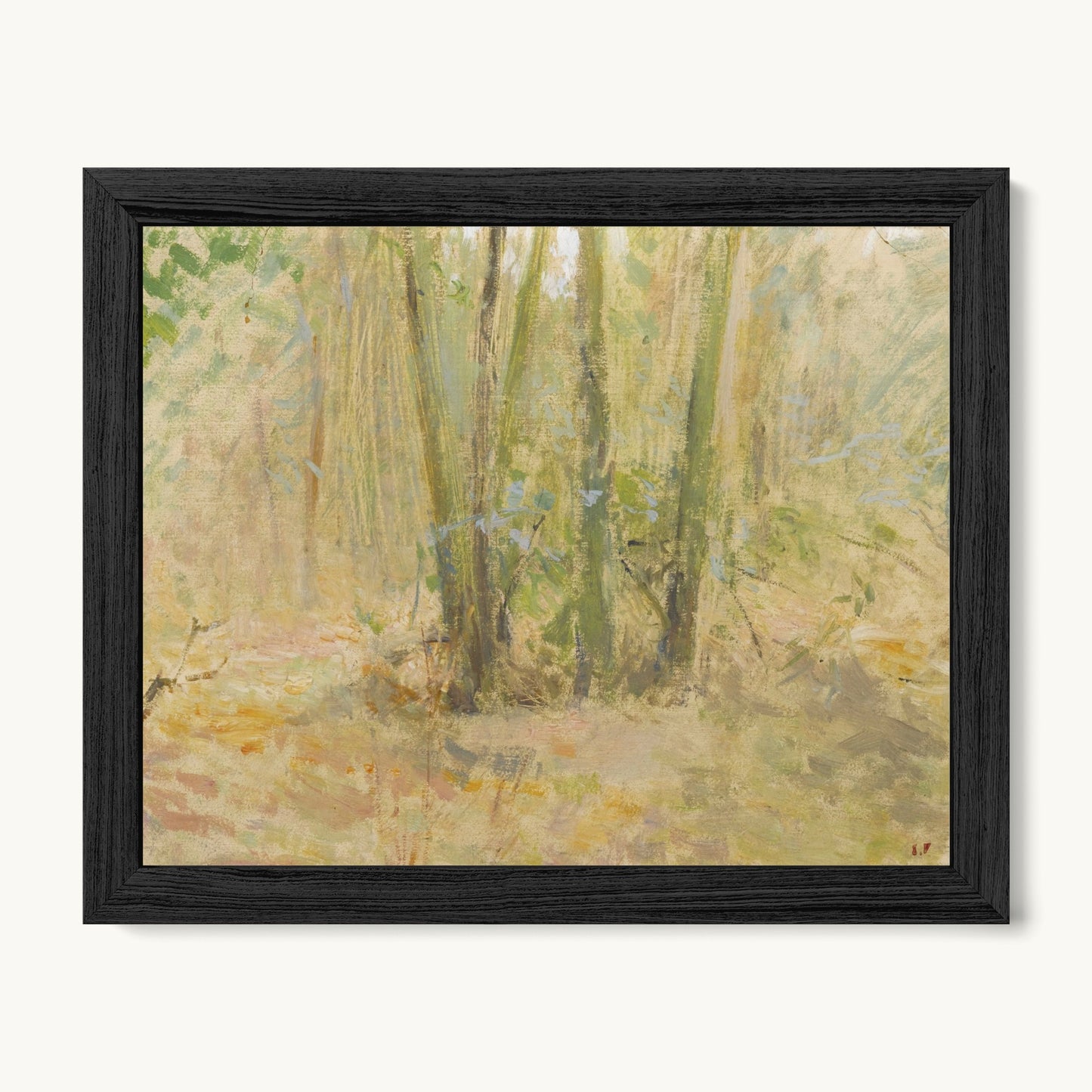 Arbres dans la forêt