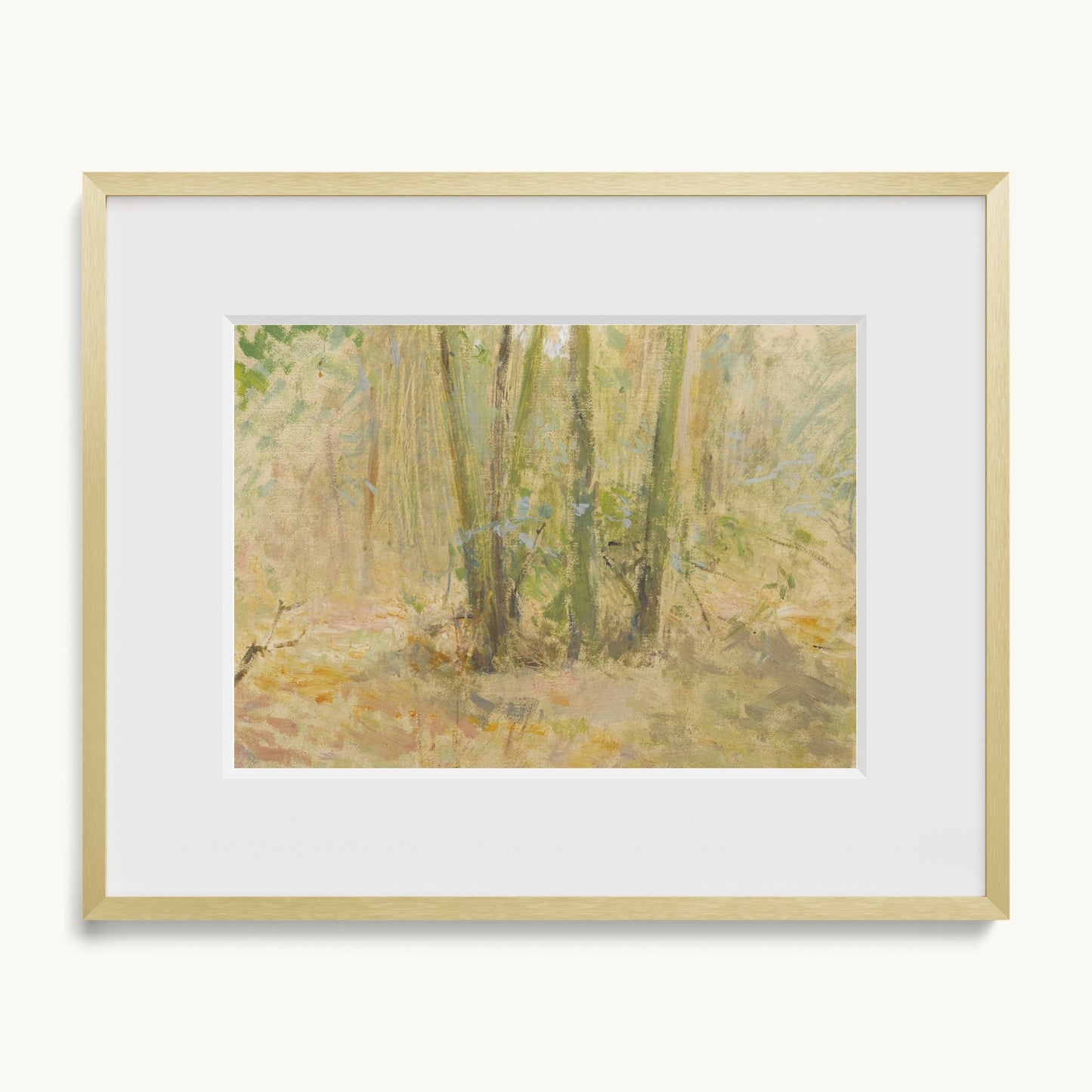 Arbres dans la forêt